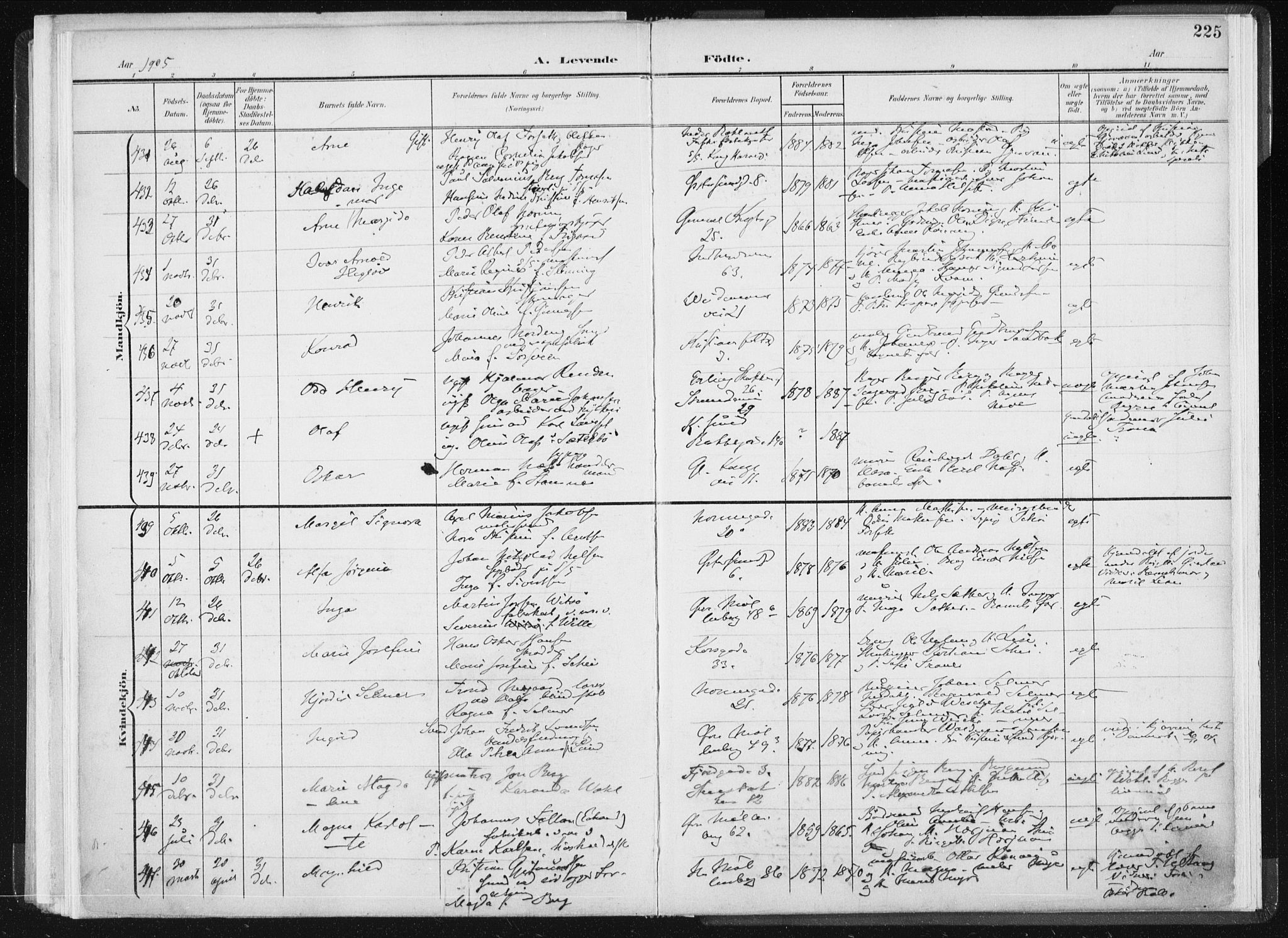 Ministerialprotokoller, klokkerbøker og fødselsregistre - Sør-Trøndelag, SAT/A-1456/604/L0199: Ministerialbok nr. 604A20I, 1901-1906, s. 225
