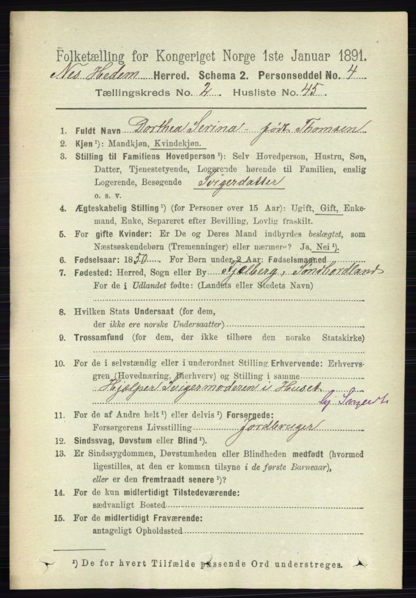 RA, Folketelling 1891 for 0411 Nes herred, 1891, s. 1399