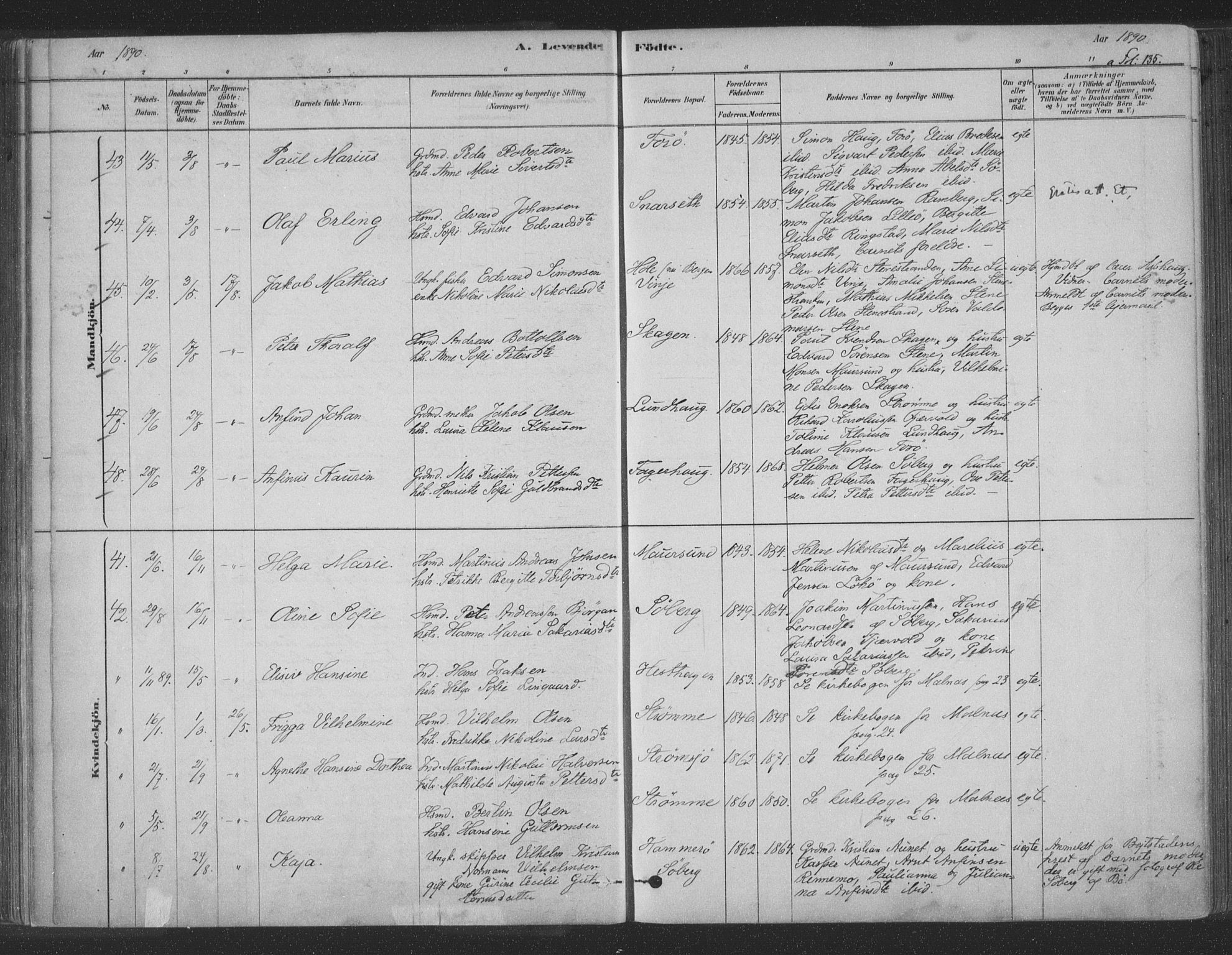 Ministerialprotokoller, klokkerbøker og fødselsregistre - Nordland, AV/SAT-A-1459/891/L1302: Ministerialbok nr. 891A07, 1878-1895, s. 135