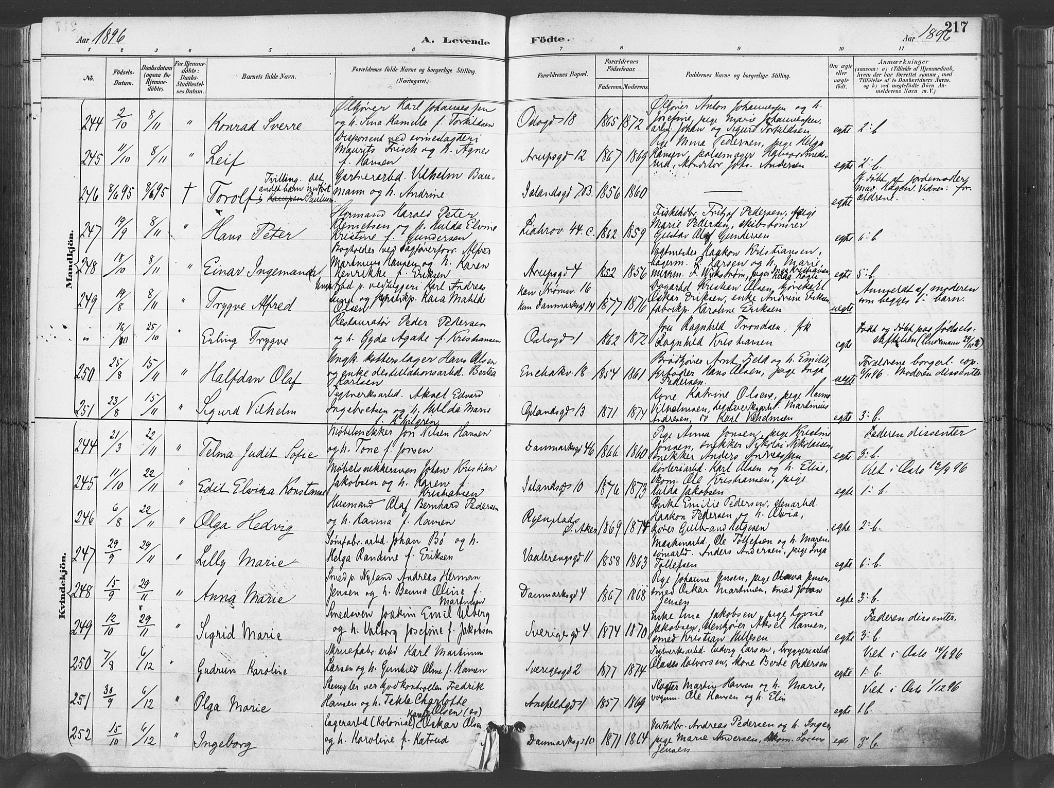 Gamlebyen prestekontor Kirkebøker, AV/SAO-A-10884/F/Fa/L0007: Ministerialbok nr. 7, 1889-1899, s. 217