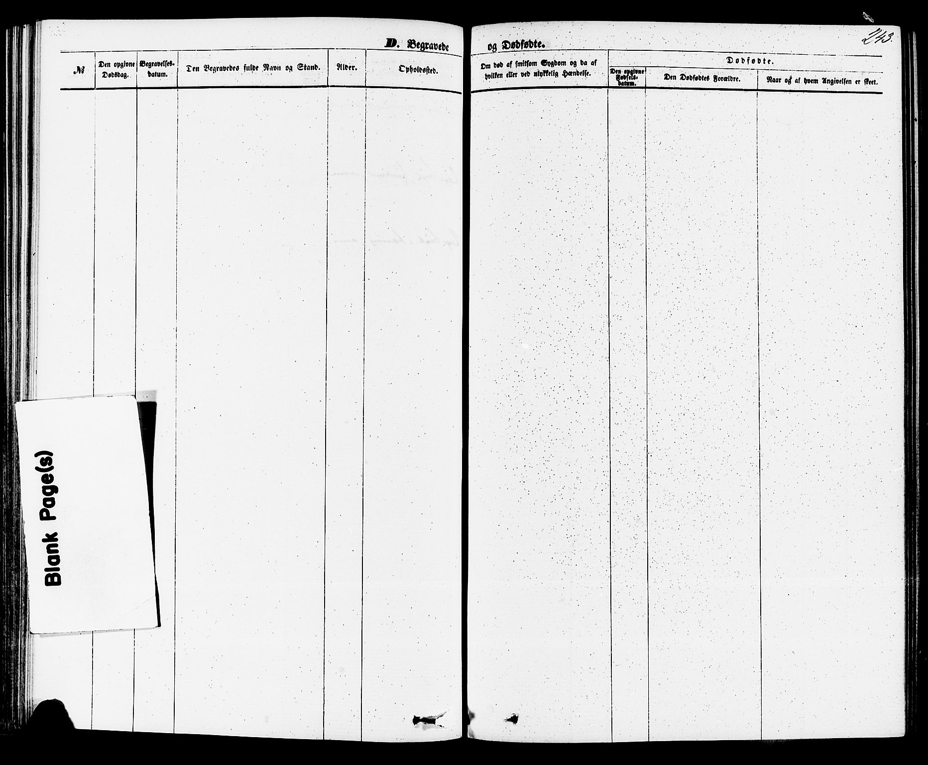 Sauherad kirkebøker, SAKO/A-298/F/Fa/L0008: Ministerialbok nr. I 8, 1873-1886, s. 243