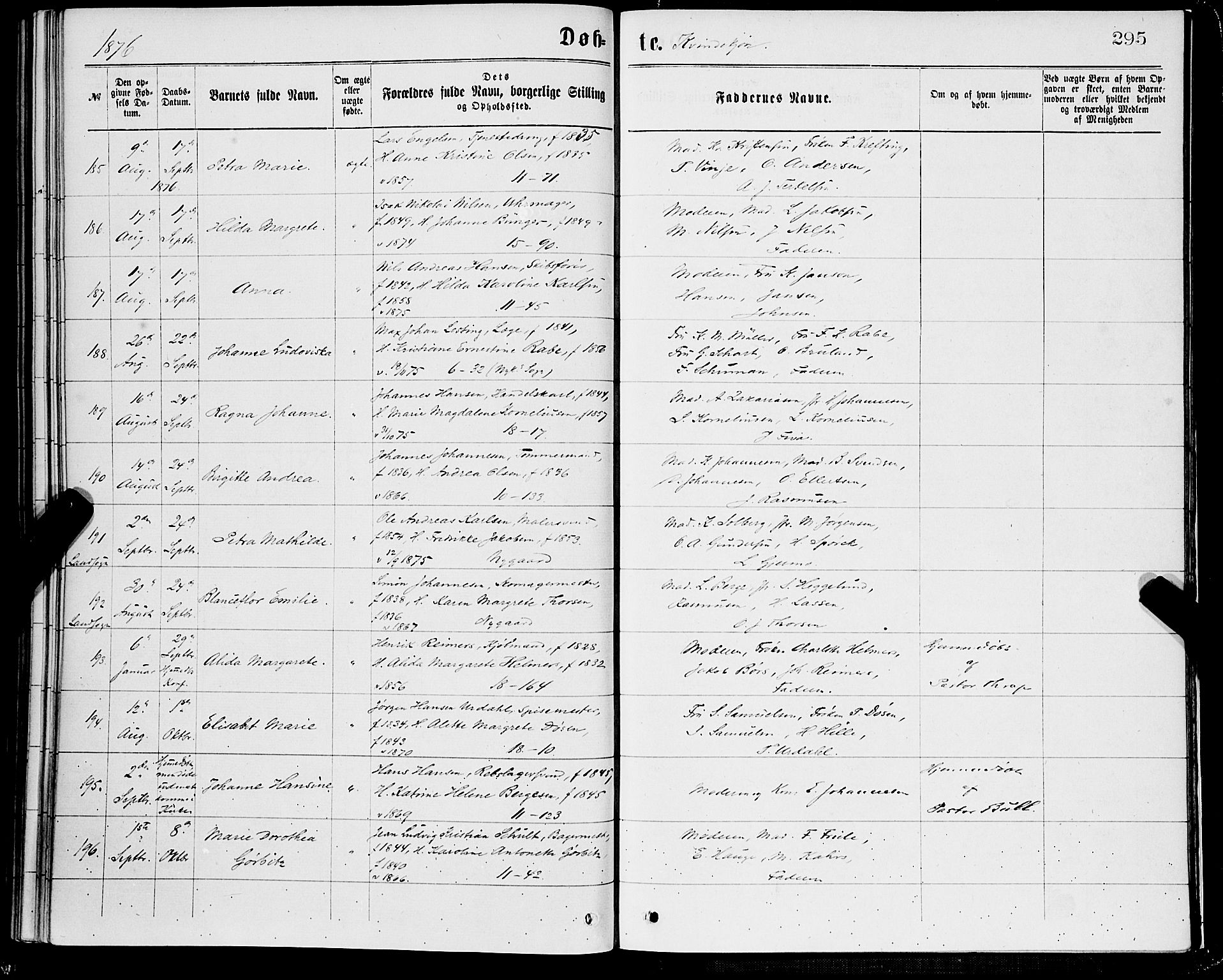 Domkirken sokneprestembete, AV/SAB-A-74801/H/Hab/L0013: Klokkerbok nr. B 6, 1869-1876, s. 295