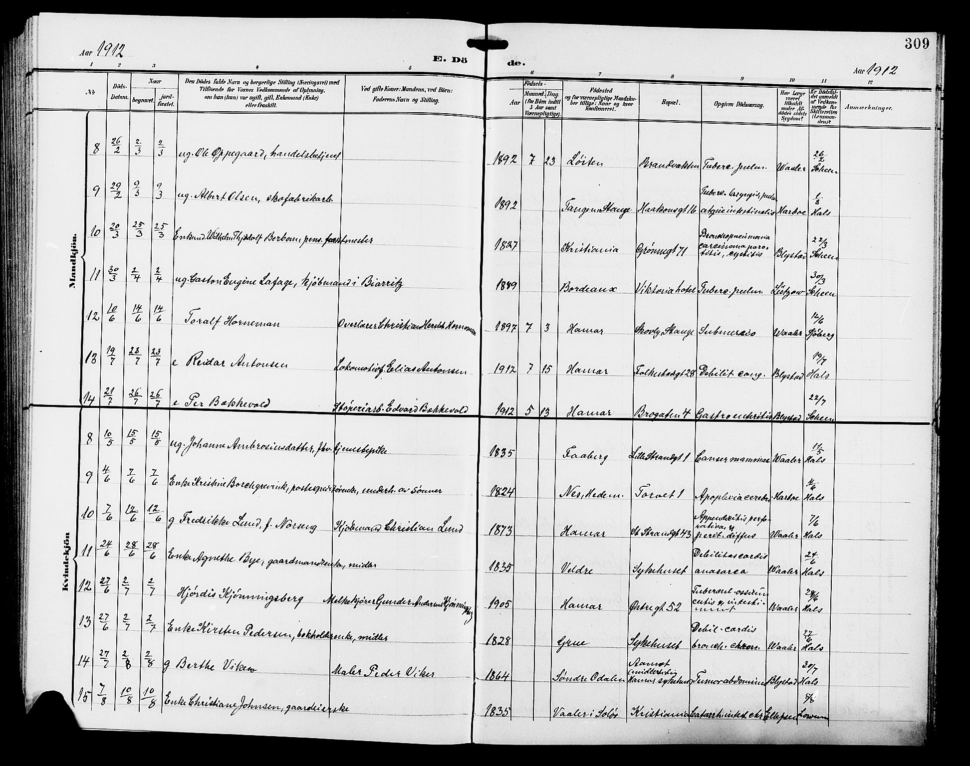 Hamar prestekontor, AV/SAH-DOMPH-002/H/Ha/Hab/L0001: Klokkerbok nr. 1, 1899-1914, s. 309