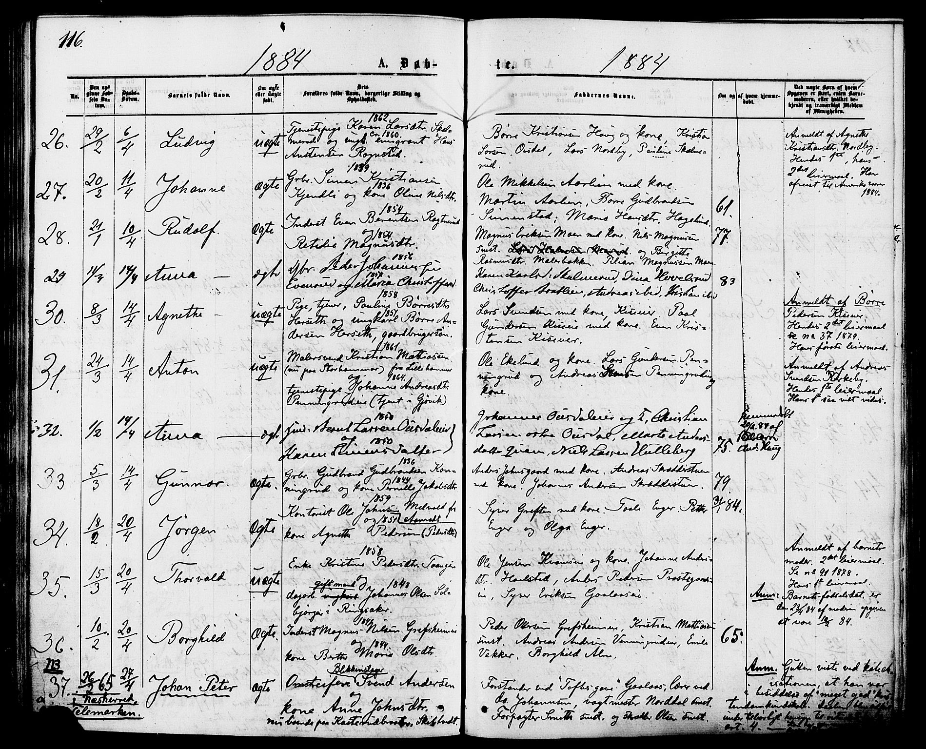 Nes prestekontor, Hedmark, AV/SAH-PREST-020/K/Ka/L0005: Ministerialbok nr. 5, 1872-1886, s. 116
