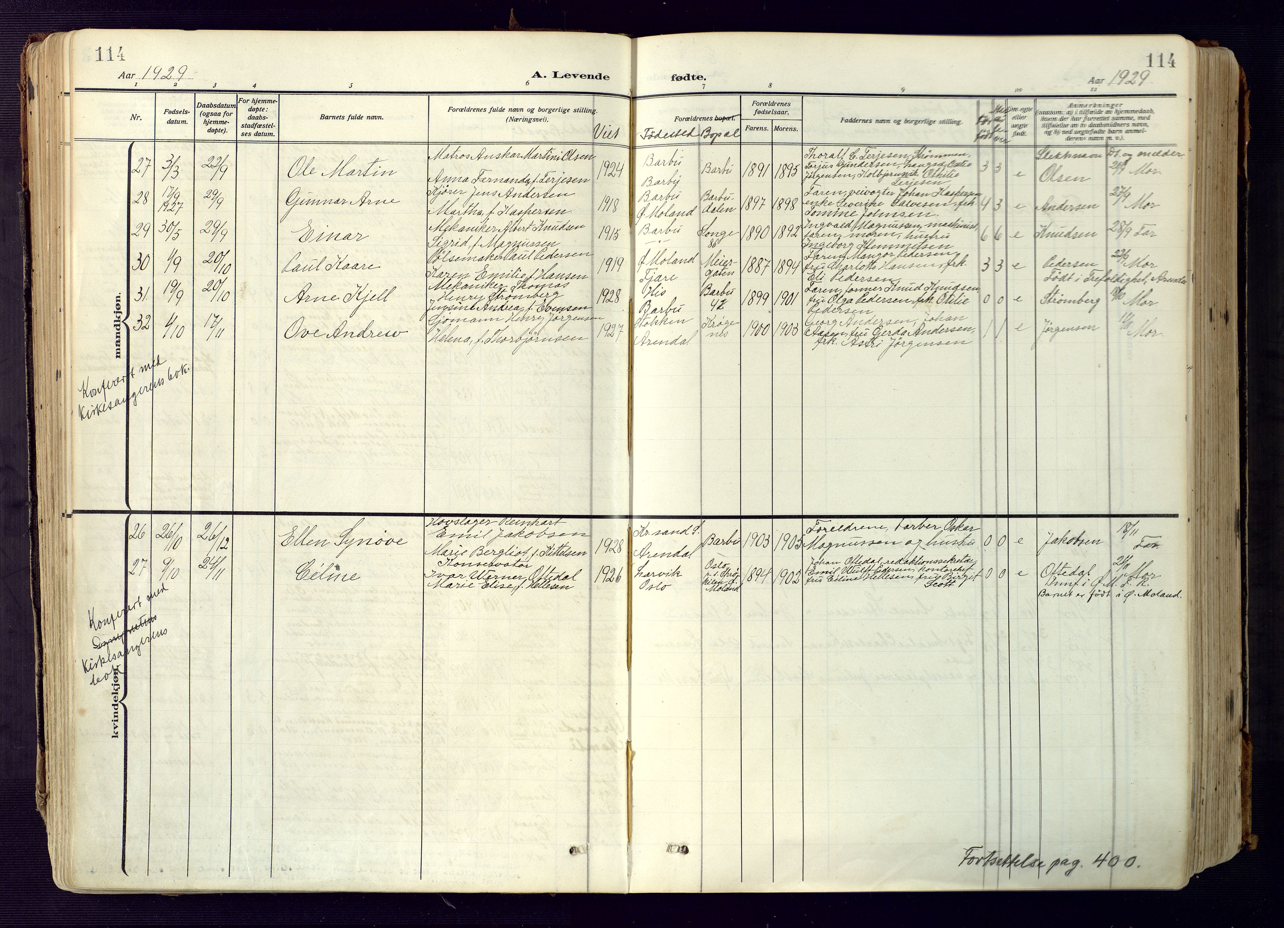 Barbu sokneprestkontor, AV/SAK-1111-0003/F/Fa/L0006: Ministerialbok nr. A 6, 1910-1929, s. 114