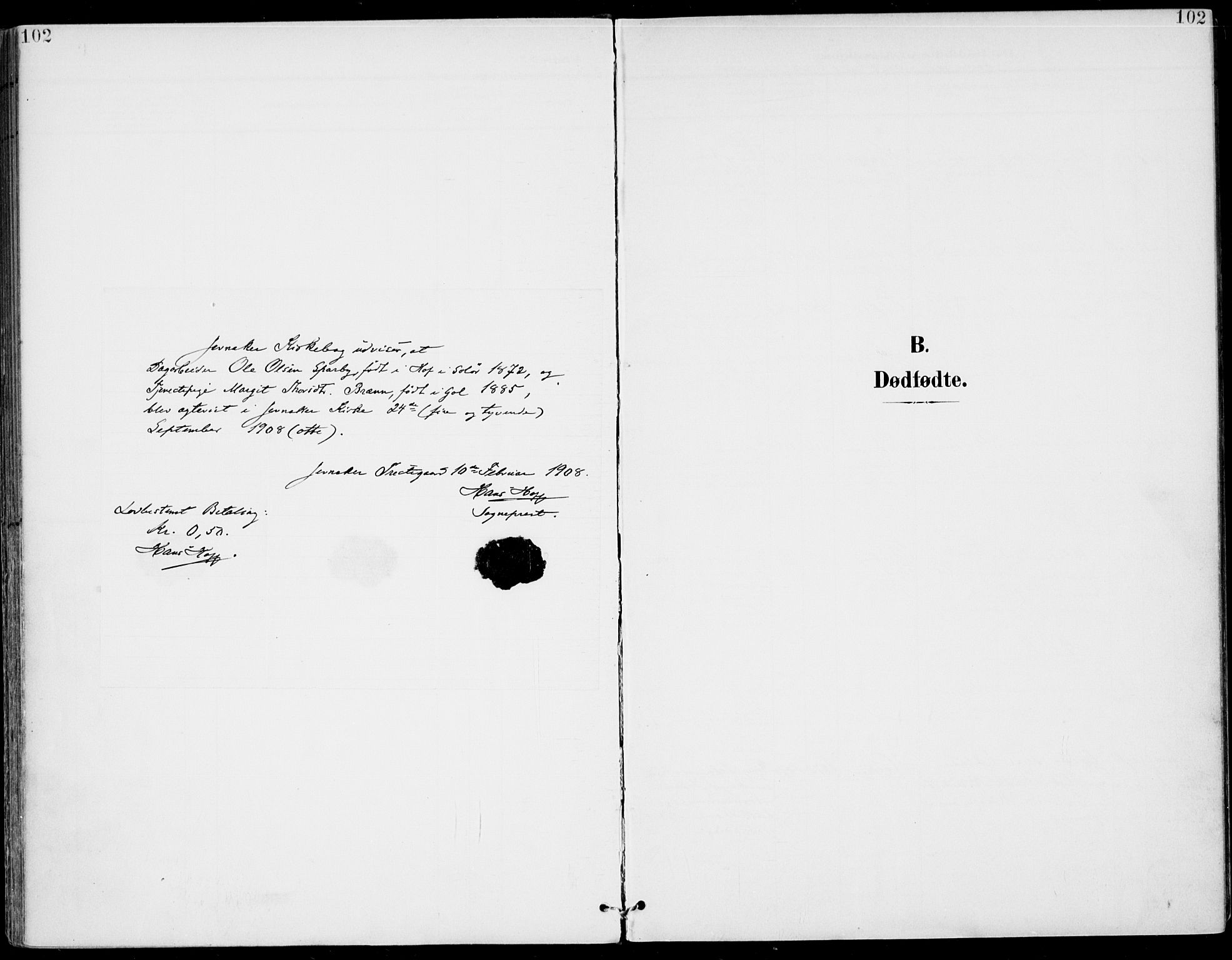 Gol kirkebøker, AV/SAKO-A-226/F/Fa/L0006: Ministerialbok nr. I 6, 1901-1918, s. 102