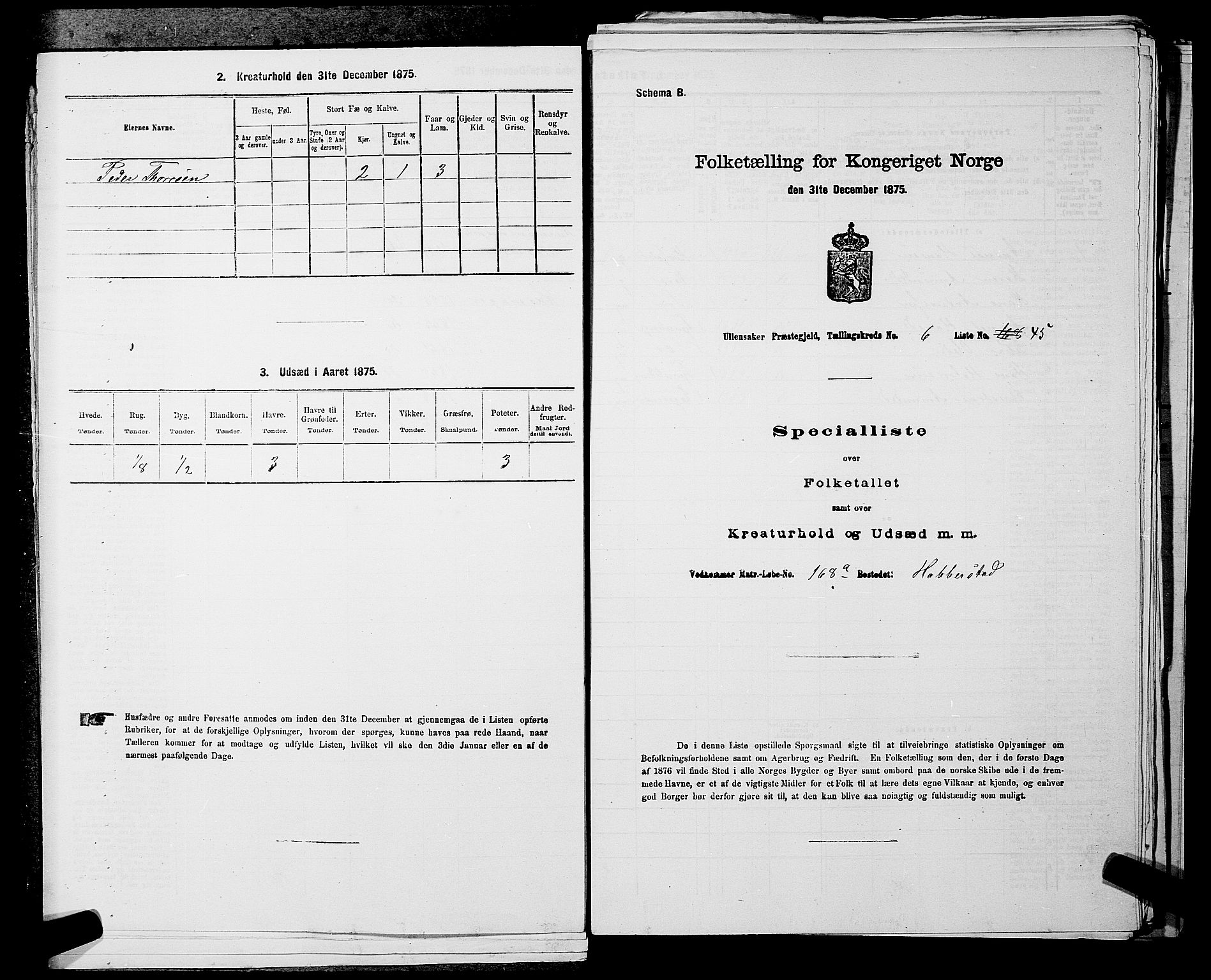 RA, Folketelling 1875 for 0235P Ullensaker prestegjeld, 1875, s. 862