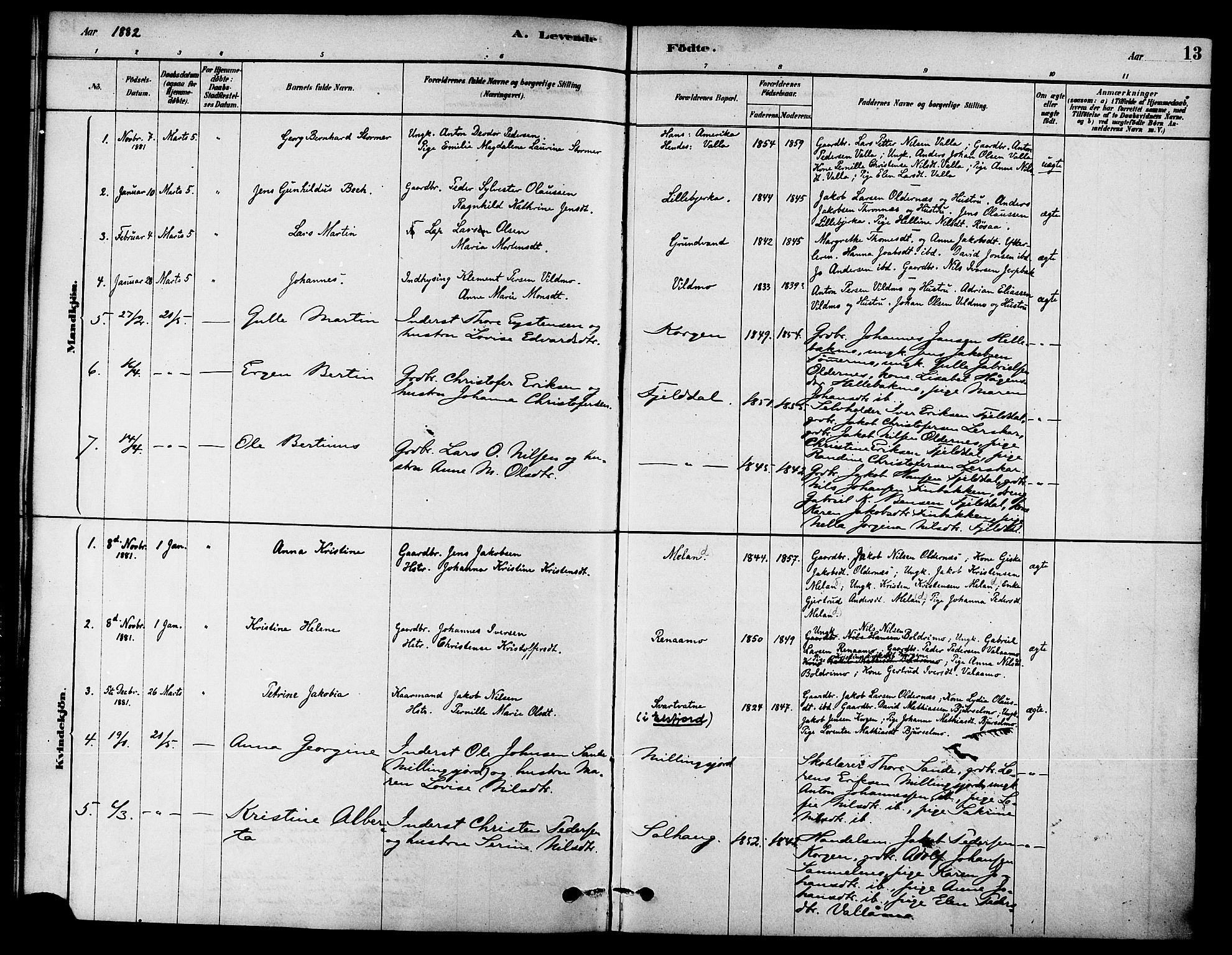 Ministerialprotokoller, klokkerbøker og fødselsregistre - Nordland, AV/SAT-A-1459/826/L0379: Ministerialbok nr. 826A02, 1878-1895, s. 13