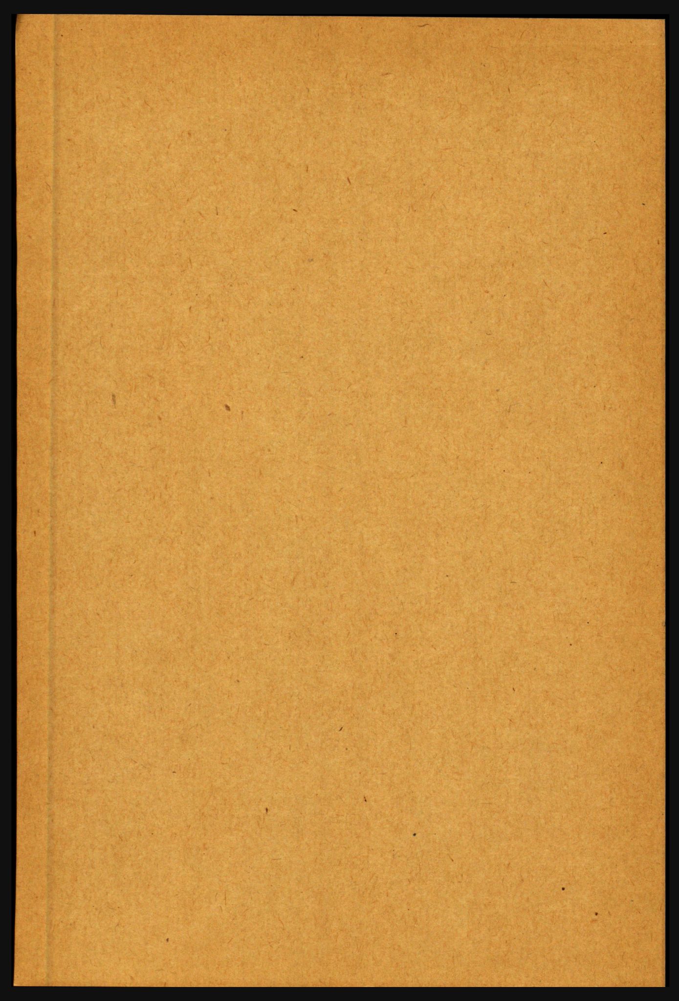 RA, Folketelling 1891 for 1431 Jølster herred, 1891, s. 572