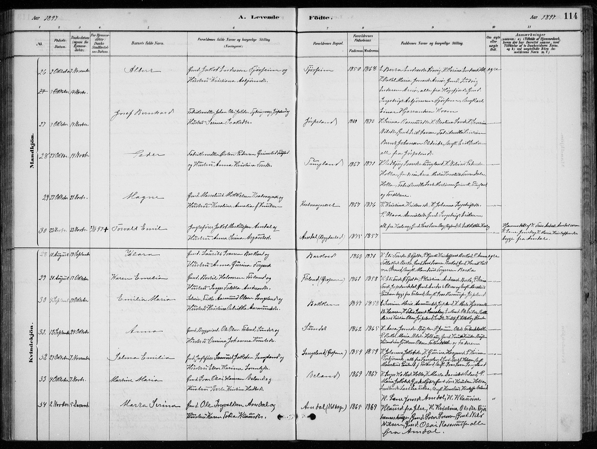 Strand sokneprestkontor, AV/SAST-A-101828/H/Ha/Hab/L0004: Klokkerbok nr. B 4, 1878-1903, s. 114