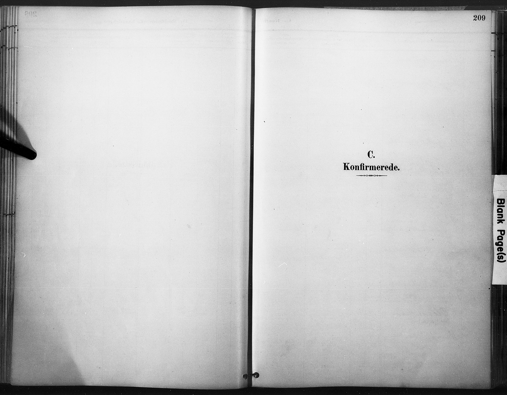 Åmli sokneprestkontor, SAK/1111-0050/F/Fa/Fac/L0010: Ministerialbok nr. A 10 /2, 1885-1899, s. 209