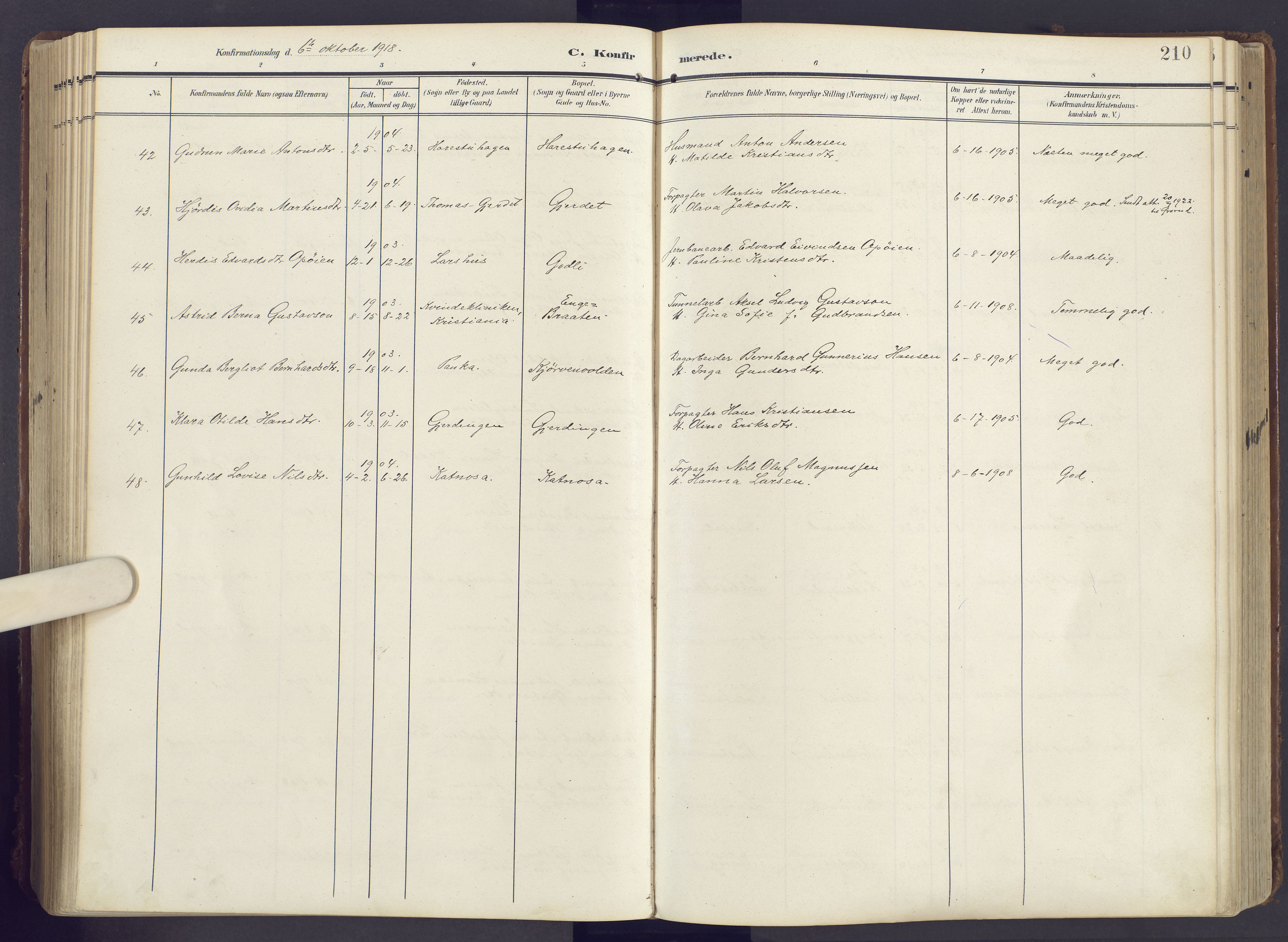 Lunner prestekontor, SAH/PREST-118/H/Ha/Haa/L0001: Ministerialbok nr. 1, 1907-1922, s. 210