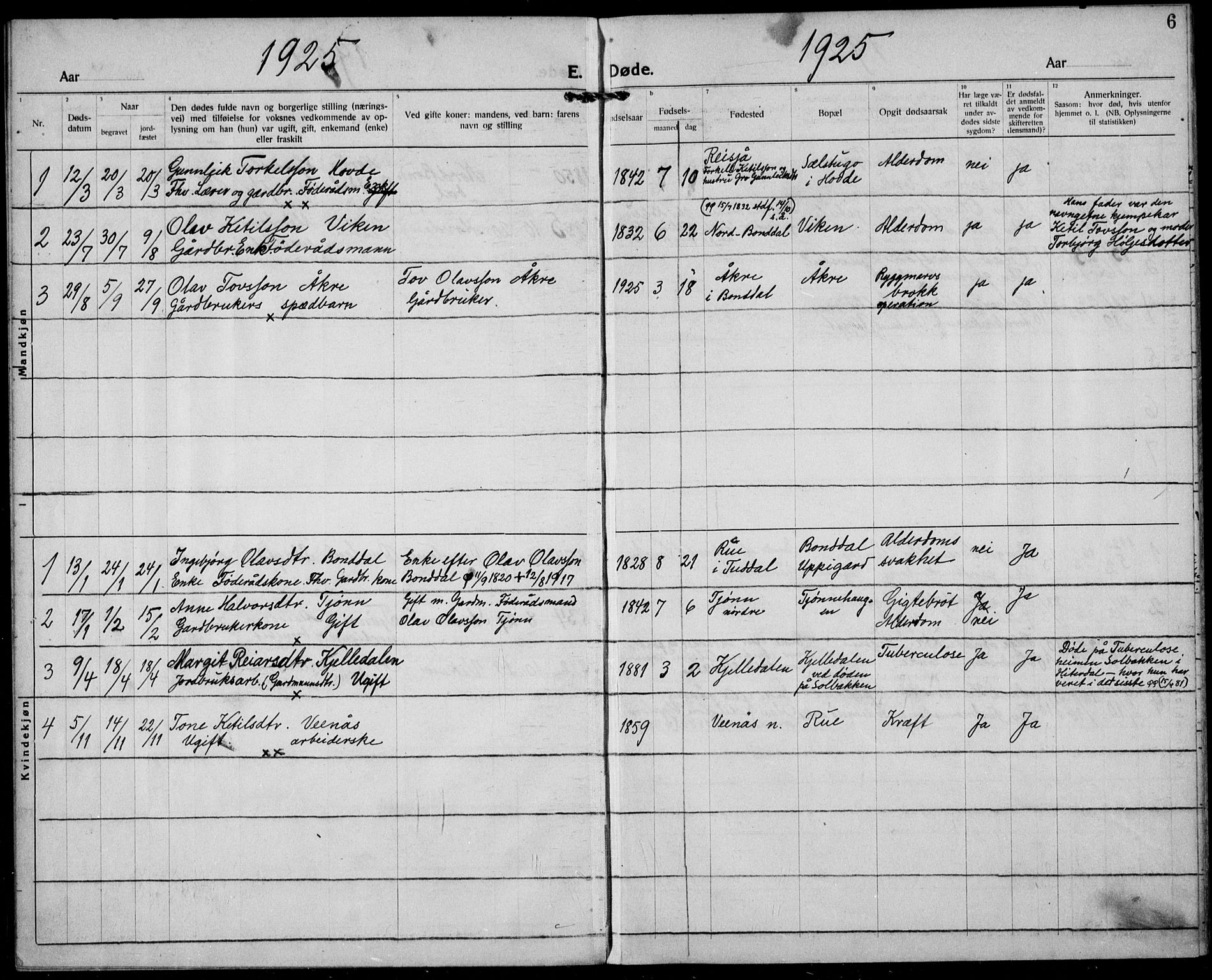 Hjartdal kirkebøker, AV/SAKO-A-270/F/Fc/L0004: Ministerialbok nr. III 4, 1923-1936, s. 6