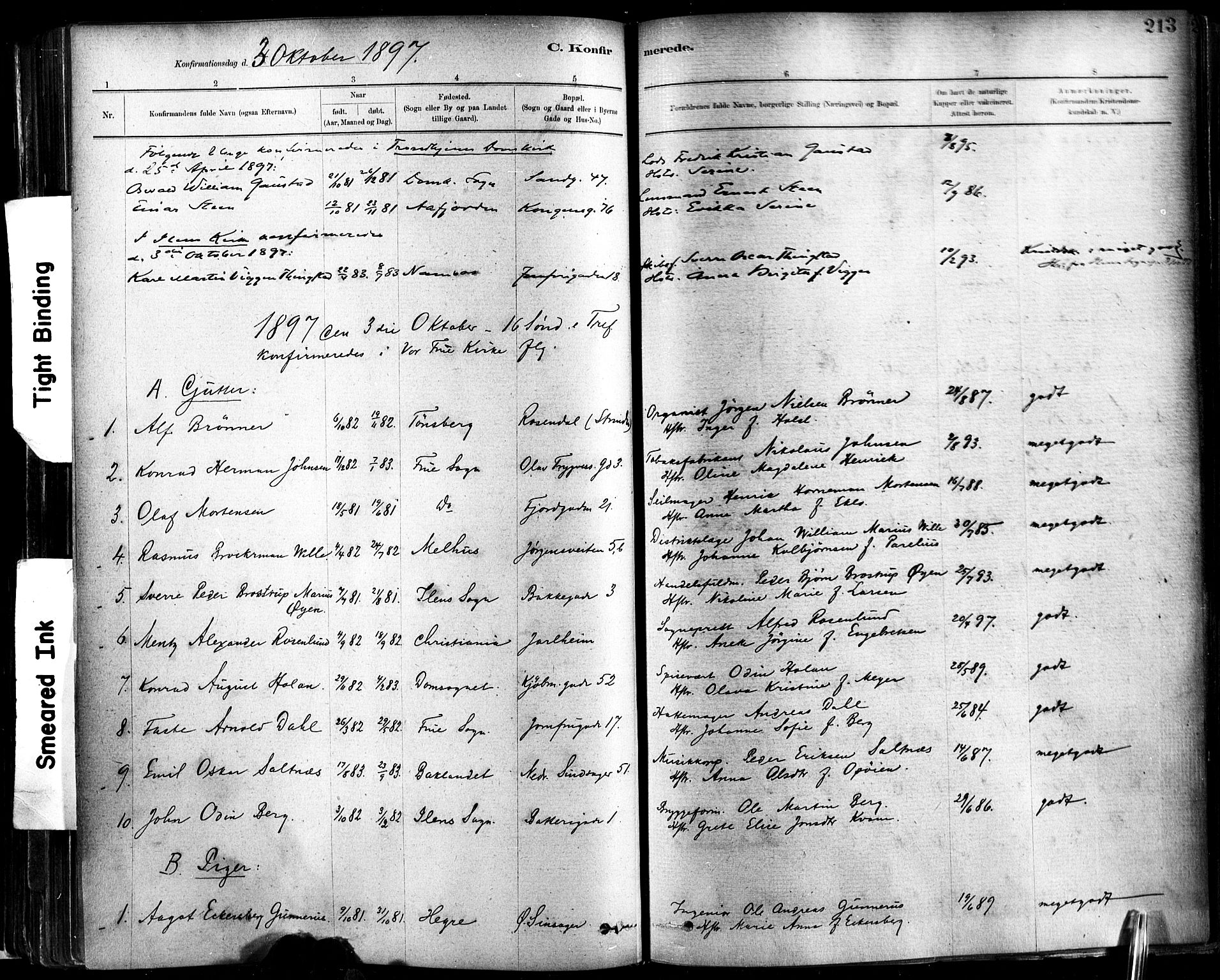 Ministerialprotokoller, klokkerbøker og fødselsregistre - Sør-Trøndelag, SAT/A-1456/602/L0119: Ministerialbok nr. 602A17, 1880-1901, s. 213