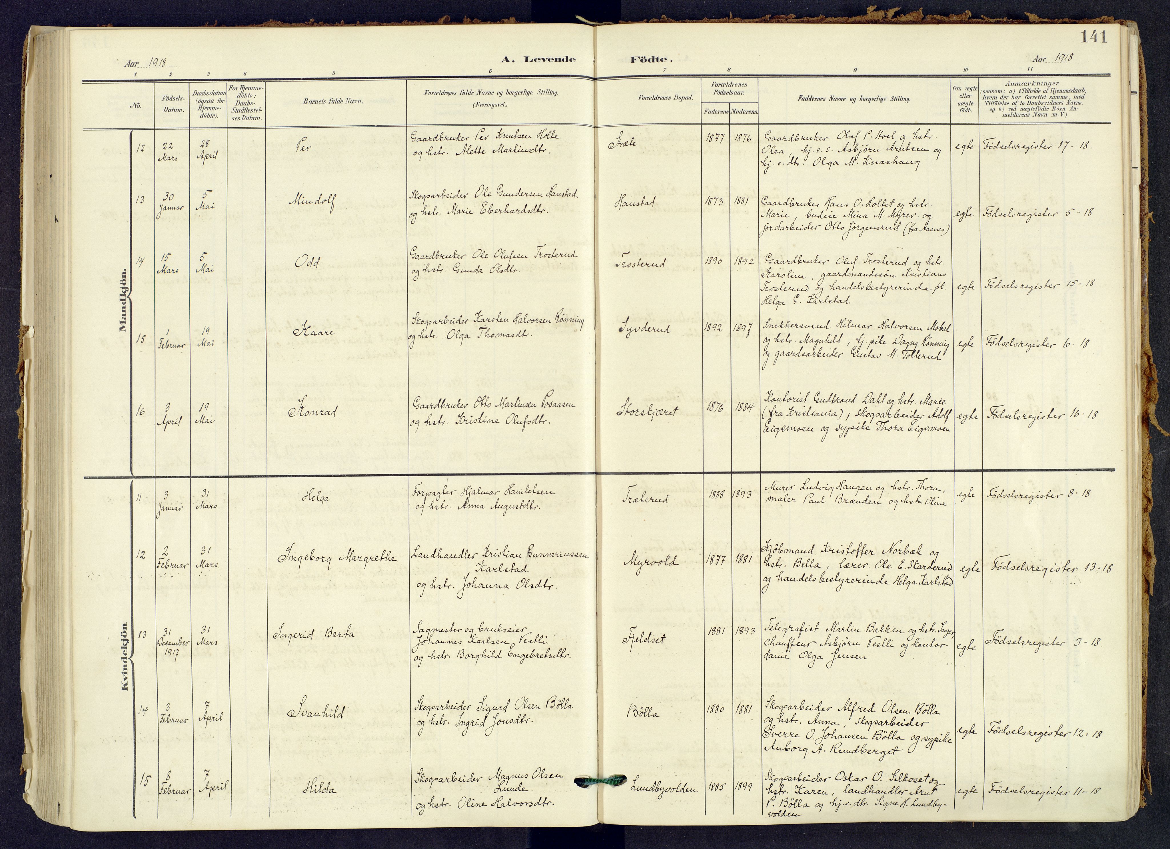 Våler prestekontor, Hedmark, AV/SAH-PREST-040/H/Ha/Haa/L0008: Ministerialbok nr. 8, 1905-1921, s. 141