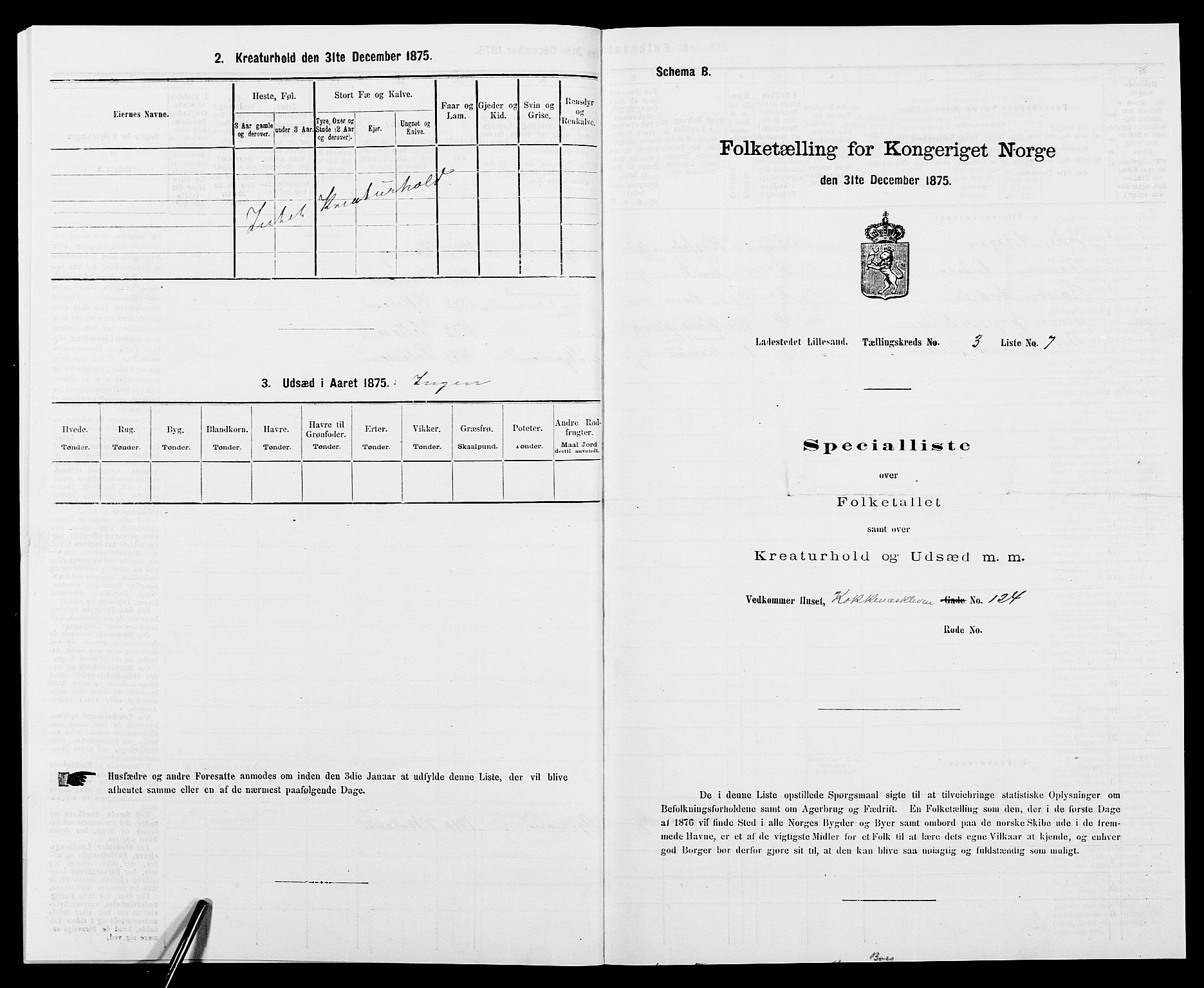 SAK, Folketelling 1875 for 0905B Vestre Moland prestegjeld, Lillesand ladested, 1875, s. 216