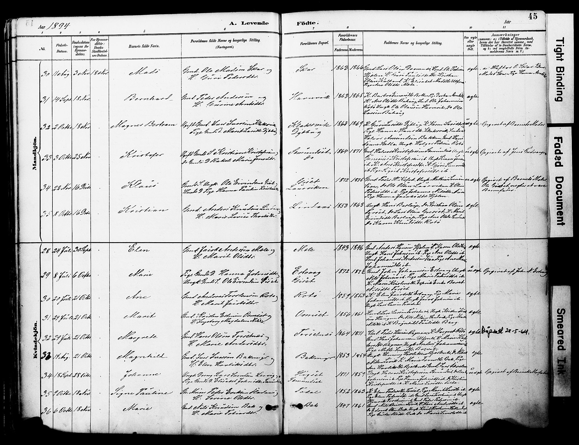 Ministerialprotokoller, klokkerbøker og fødselsregistre - Møre og Romsdal, AV/SAT-A-1454/578/L0907: Ministerialbok nr. 578A06, 1887-1904, s. 45