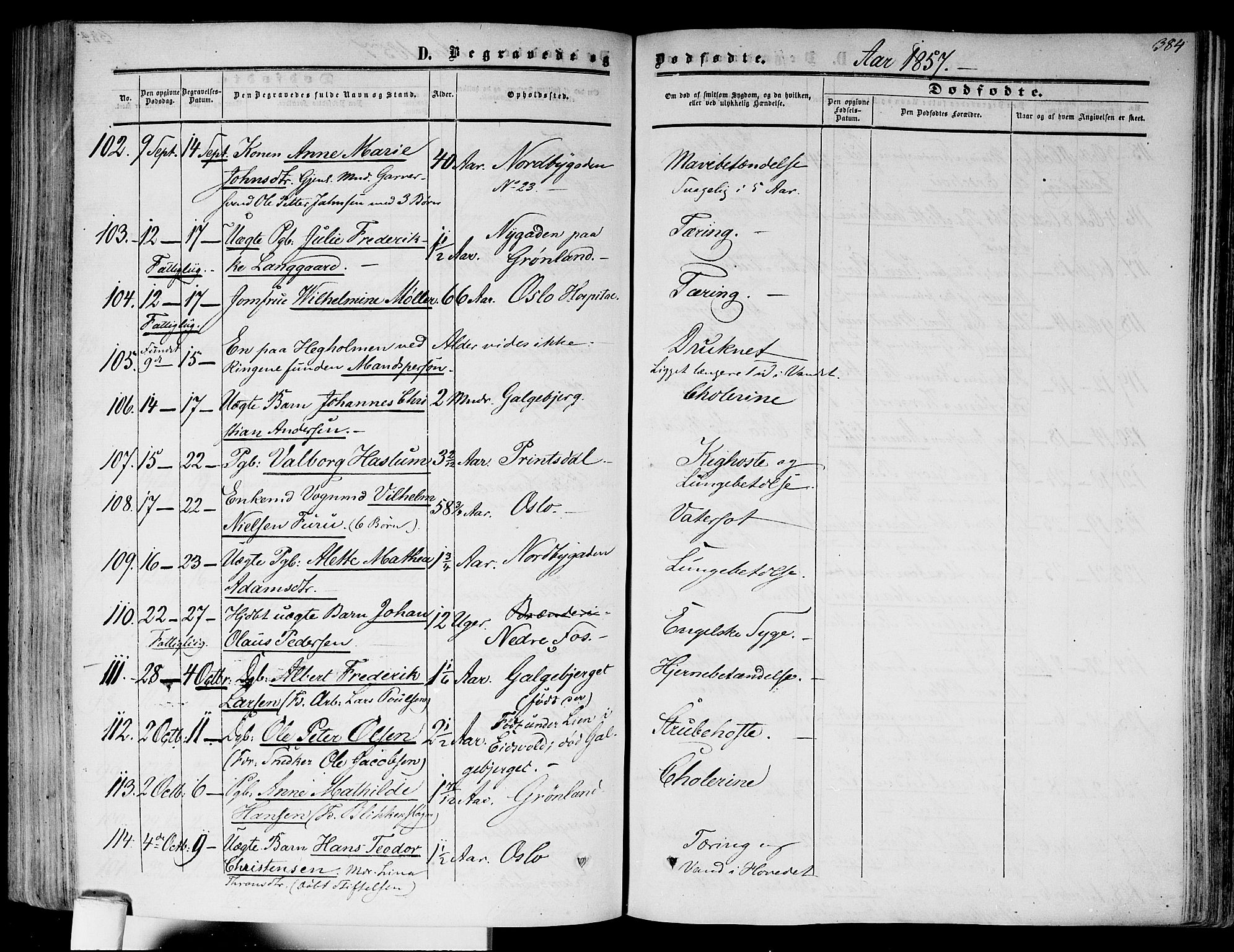 Gamlebyen prestekontor Kirkebøker, AV/SAO-A-10884/F/Fa/L0004: Ministerialbok nr. 4, 1850-1857, s. 384