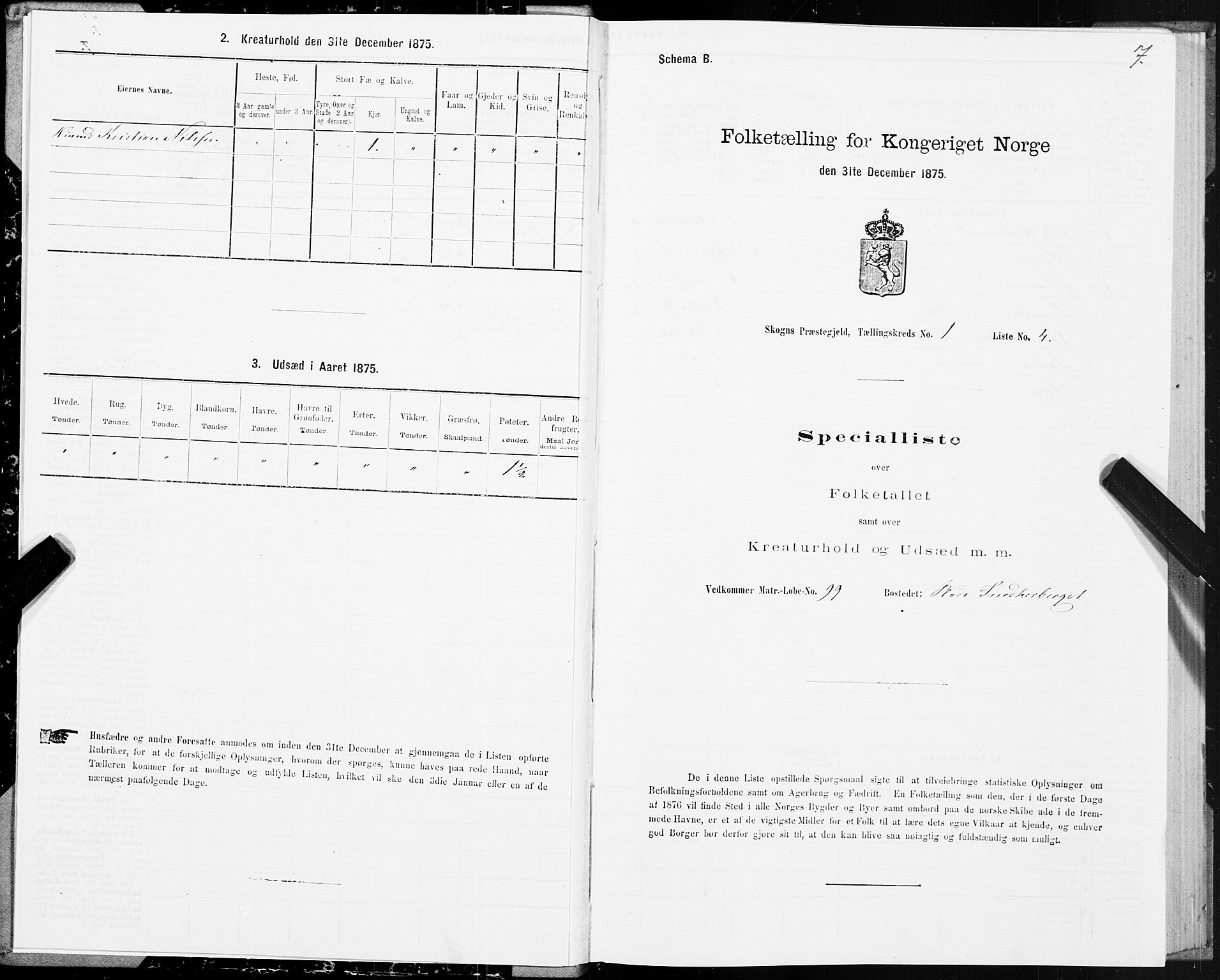 SAT, Folketelling 1875 for 1719P Skogn prestegjeld, 1875, s. 1007