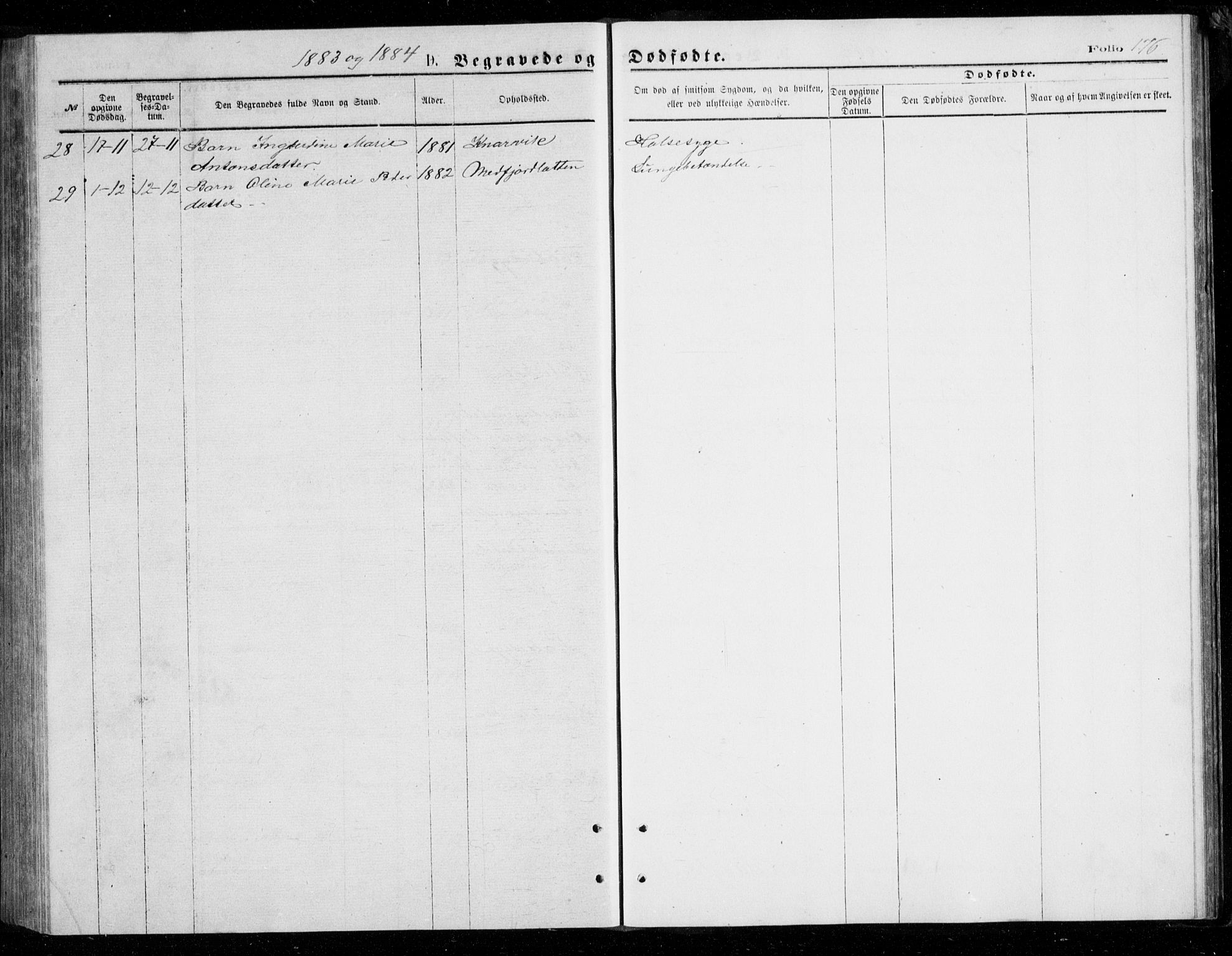 Berg sokneprestkontor, SATØ/S-1318/G/Ga/Gab/L0003klokker: Klokkerbok nr. 3, 1874-1886, s. 176