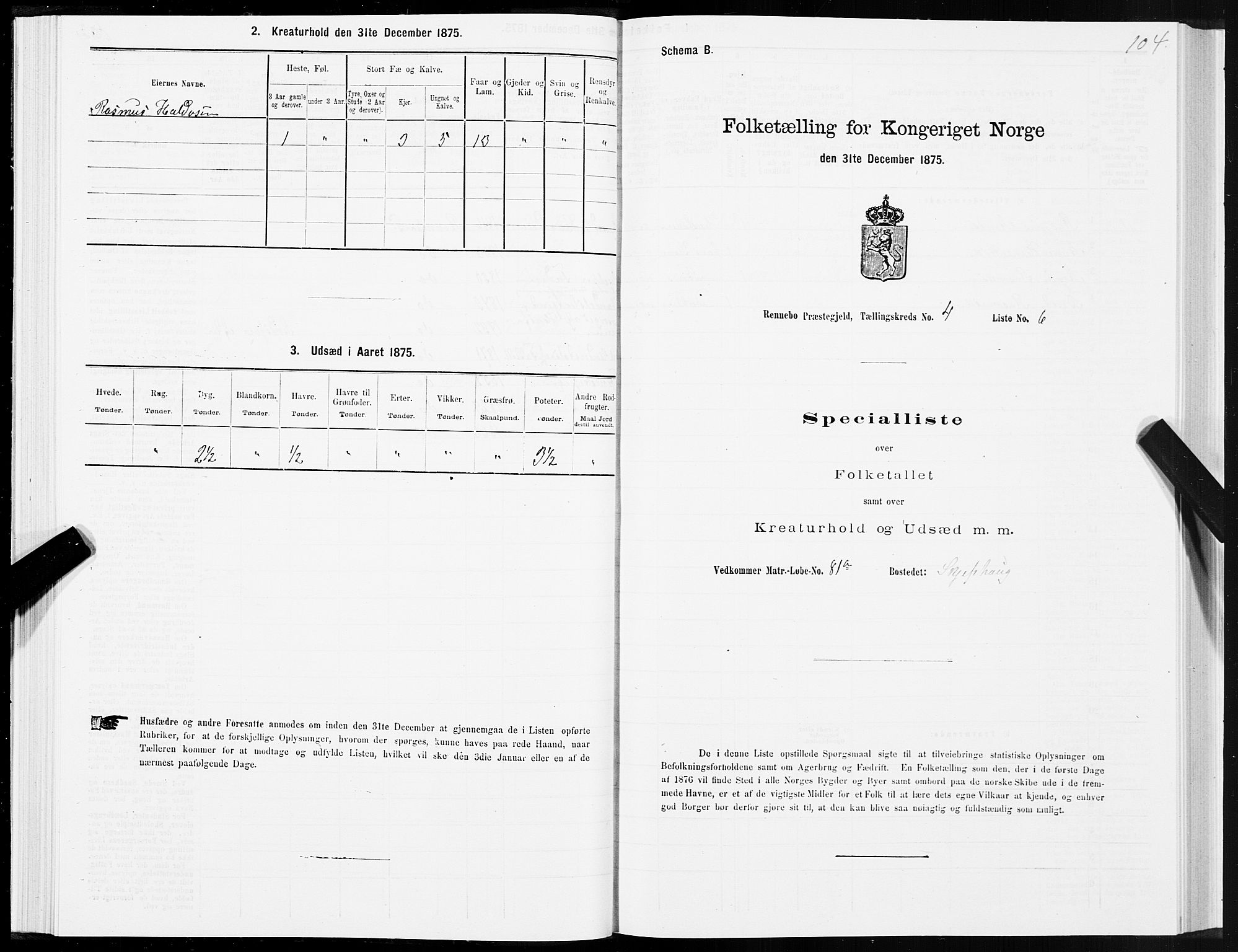 SAT, Folketelling 1875 for 1635P Rennebu prestegjeld, 1875, s. 2104