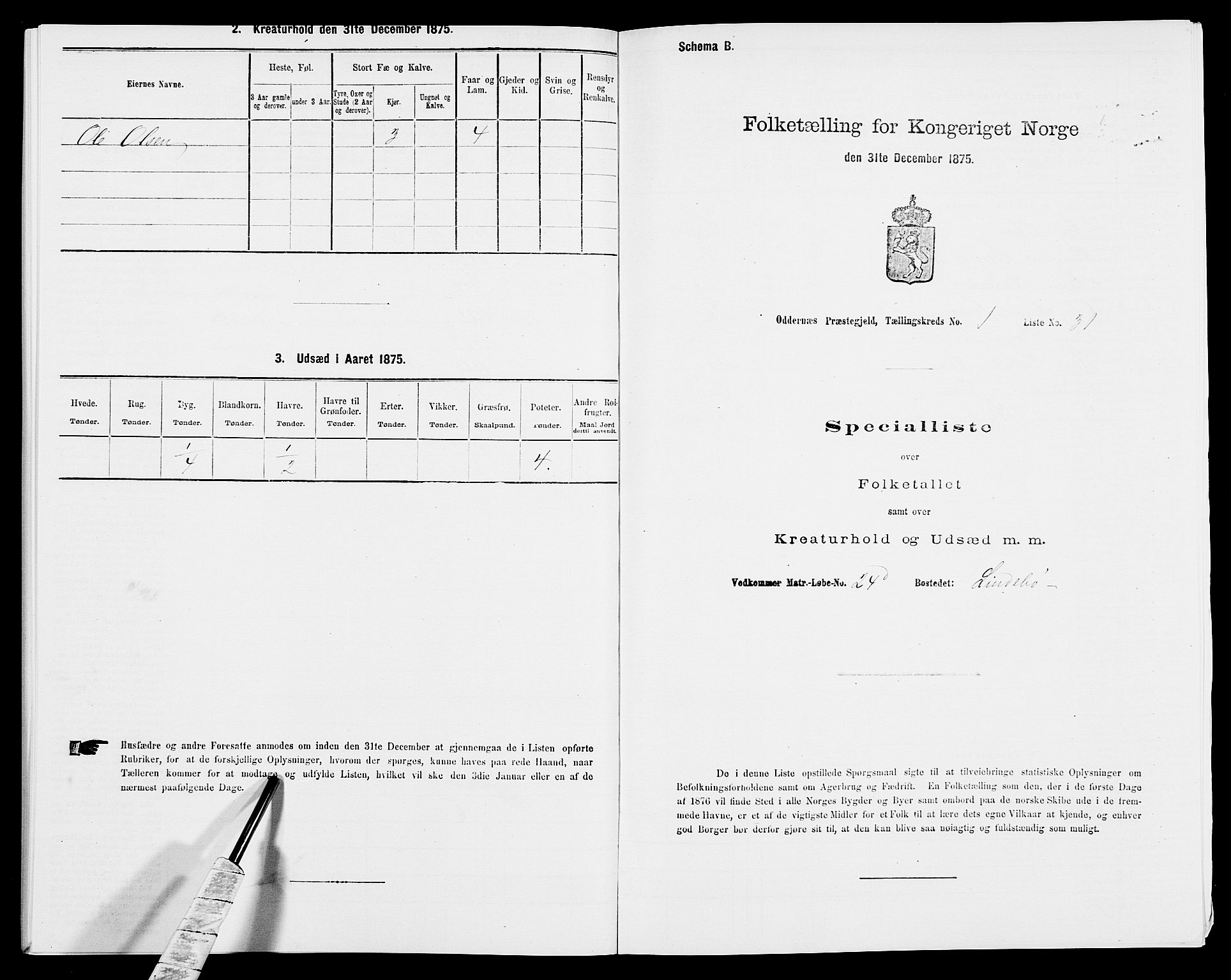 SAK, Folketelling 1875 for 1012P Oddernes prestegjeld, 1875, s. 119