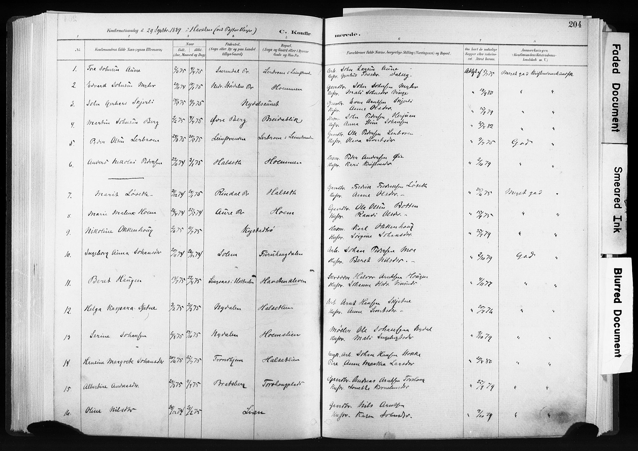Ministerialprotokoller, klokkerbøker og fødselsregistre - Sør-Trøndelag, SAT/A-1456/606/L0300: Ministerialbok nr. 606A15, 1886-1893, s. 204
