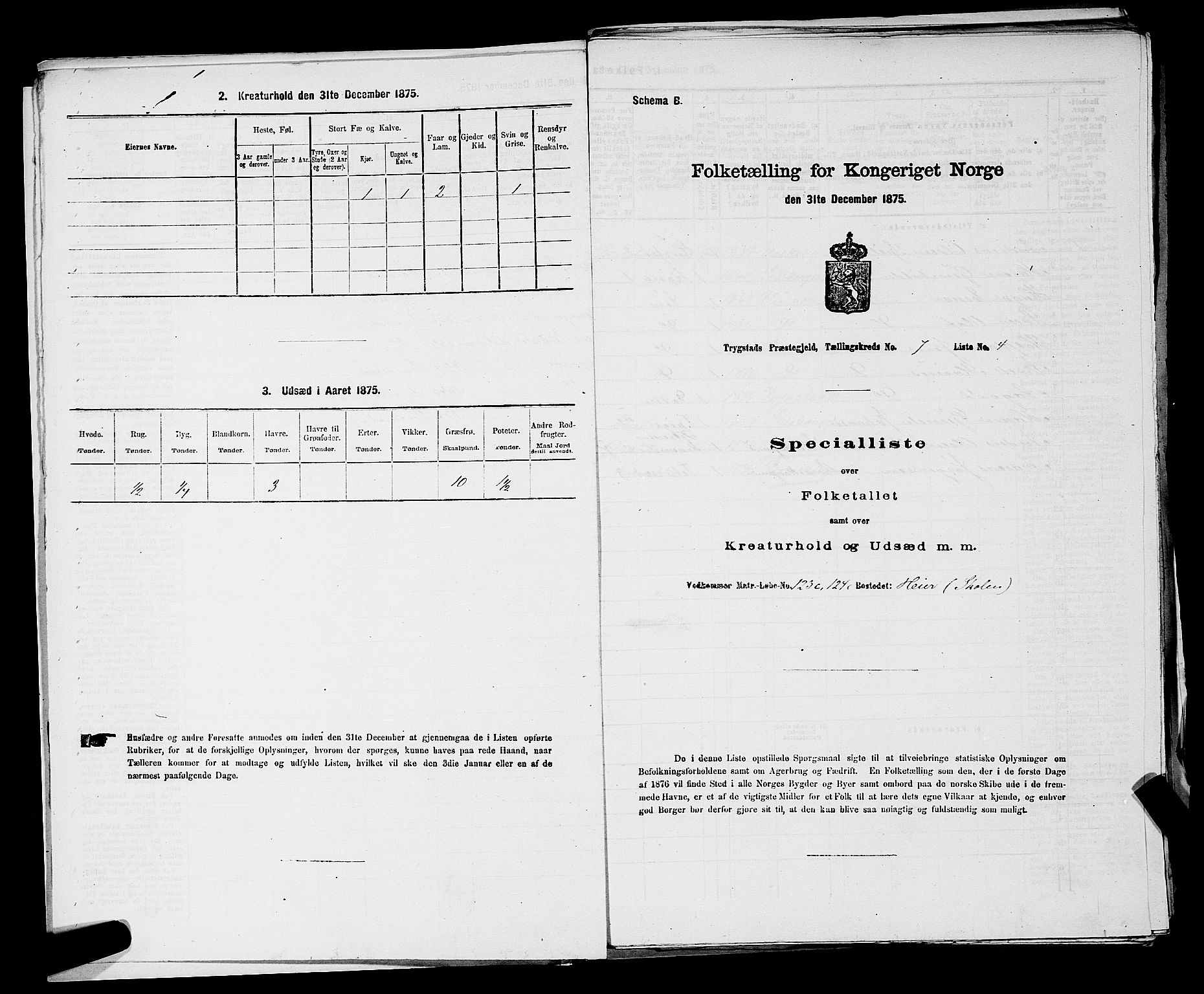 RA, Folketelling 1875 for 0122P Trøgstad prestegjeld, 1875, s. 745