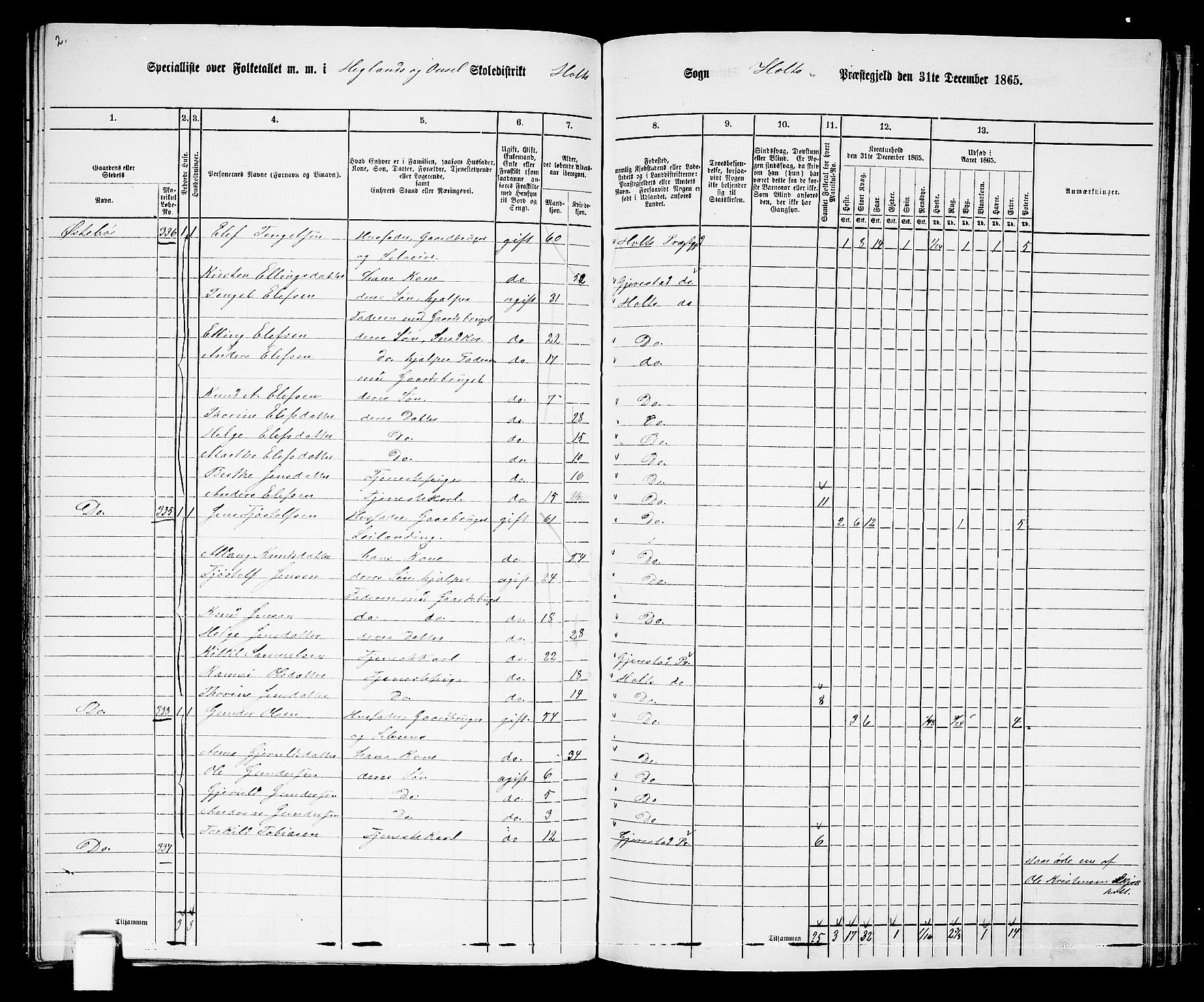 RA, Folketelling 1865 for 0914L Holt prestegjeld, Holt sokn, 1865, s. 147