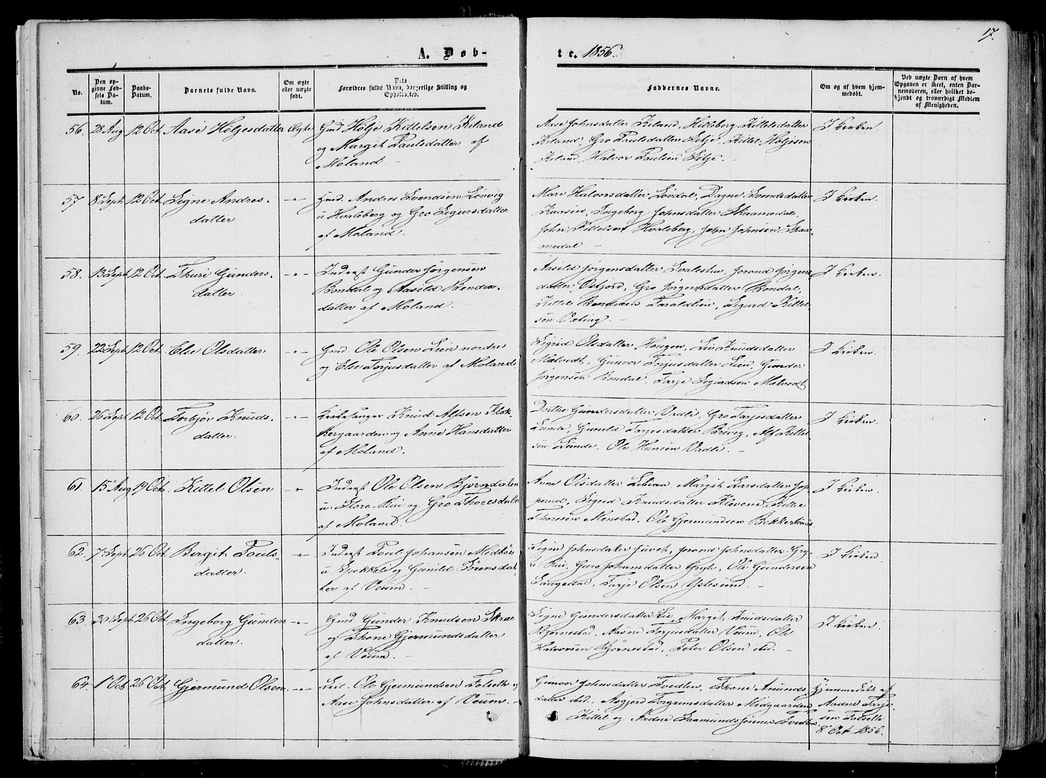 Fyresdal kirkebøker, AV/SAKO-A-263/F/Fa/L0005: Ministerialbok nr. I 5, 1855-1871, s. 17