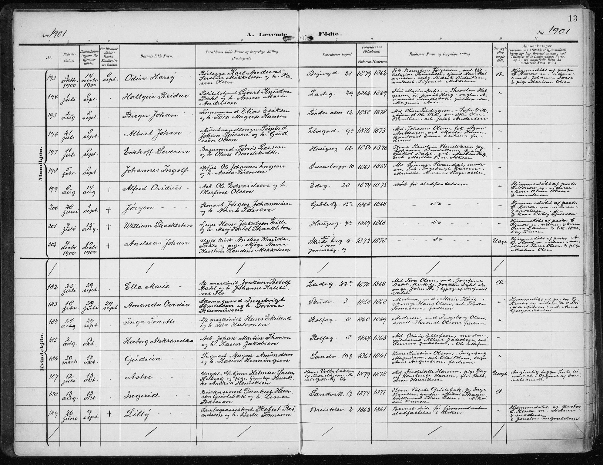 Sandviken Sokneprestembete, SAB/A-77601/H/Ha/L0006: Ministerialbok nr. B 3, 1901-1912, s. 13