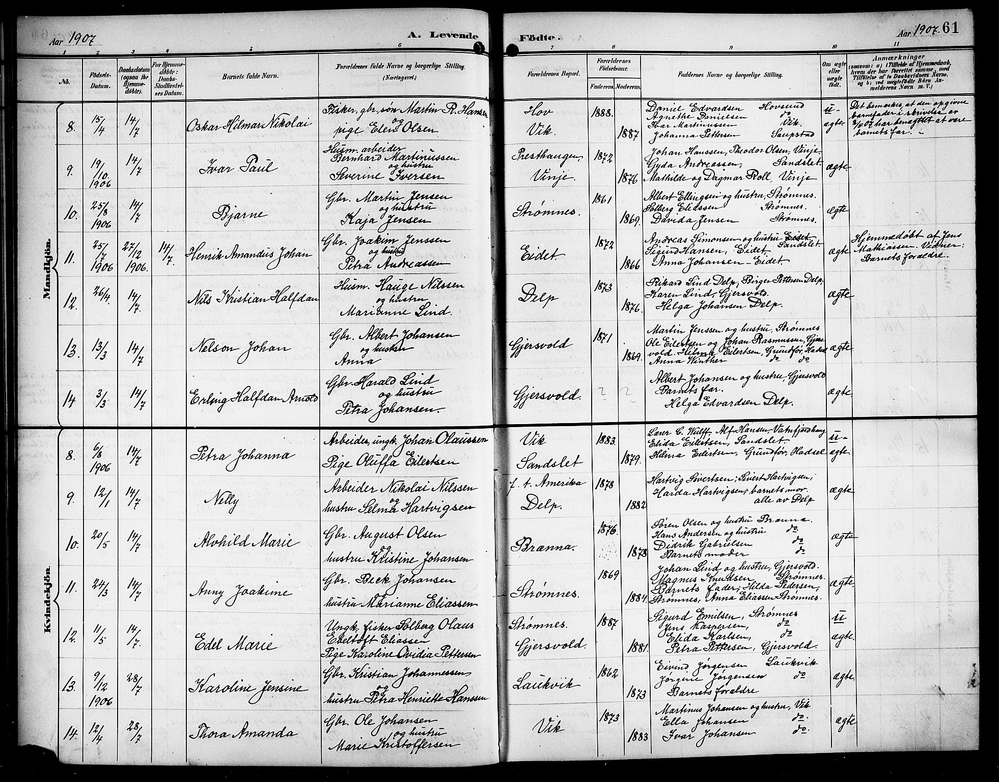 Ministerialprotokoller, klokkerbøker og fødselsregistre - Nordland, AV/SAT-A-1459/876/L1105: Klokkerbok nr. 876C04, 1896-1914, s. 61