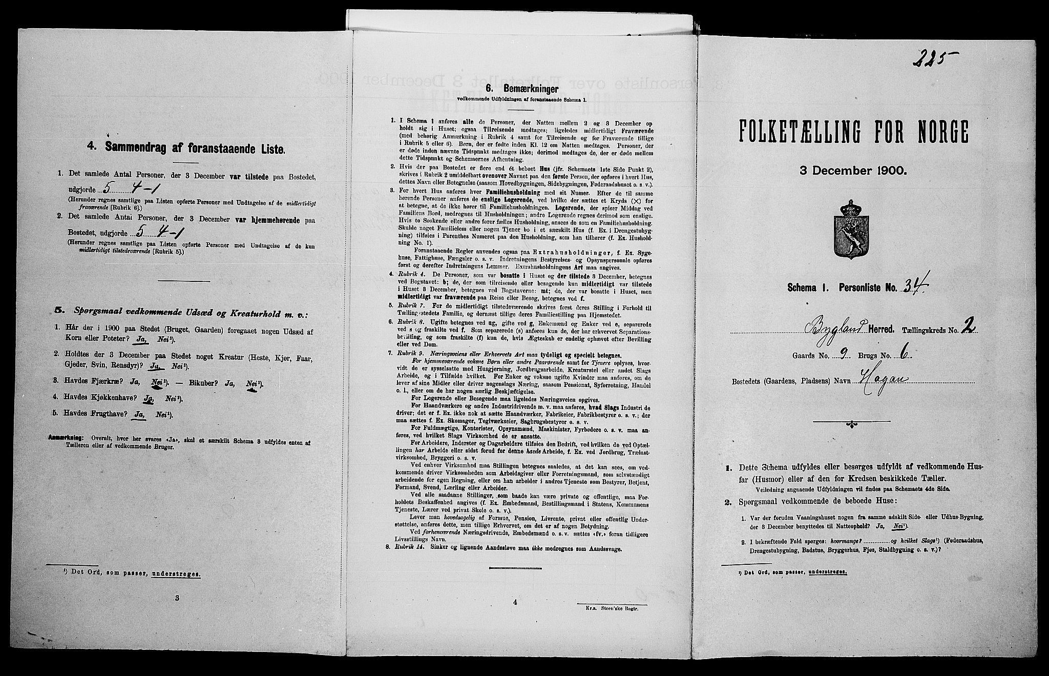 SAK, Folketelling 1900 for 0938 Bygland herred, 1900, s. 153