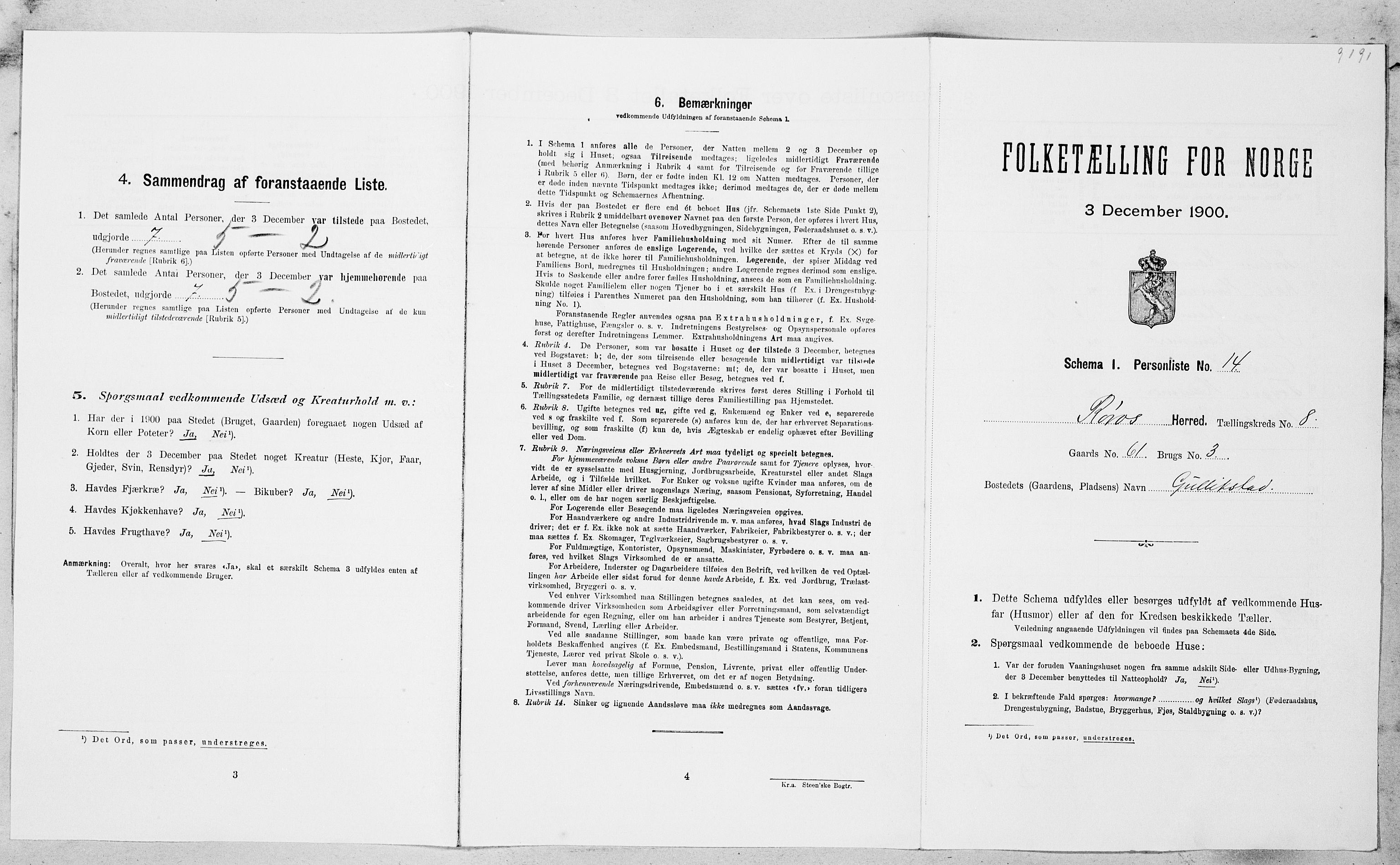 SAT, Folketelling 1900 for 1640 Røros herred, 1900, s. 924