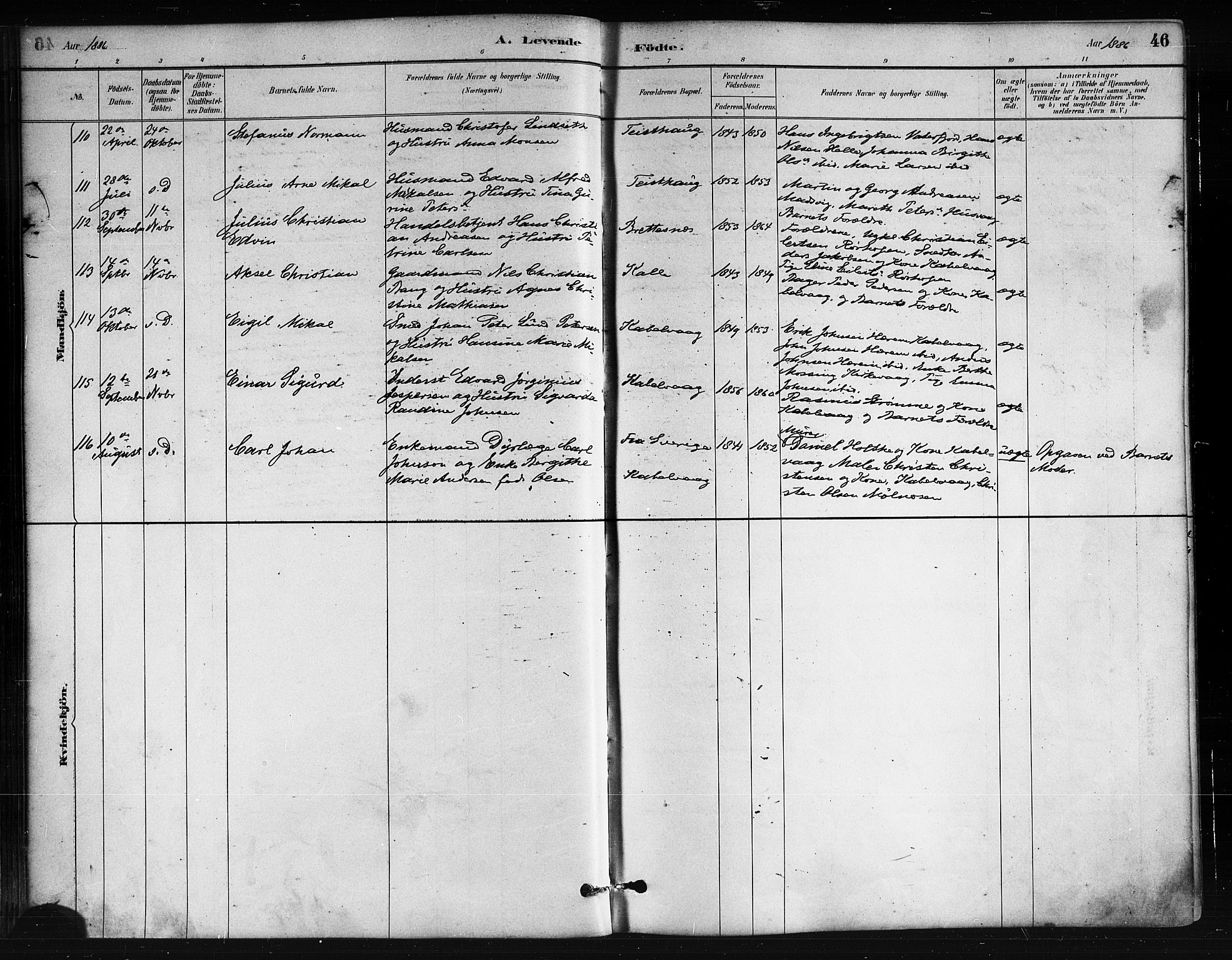 Ministerialprotokoller, klokkerbøker og fødselsregistre - Nordland, SAT/A-1459/874/L1059: Ministerialbok nr. 874A03, 1884-1890, s. 46