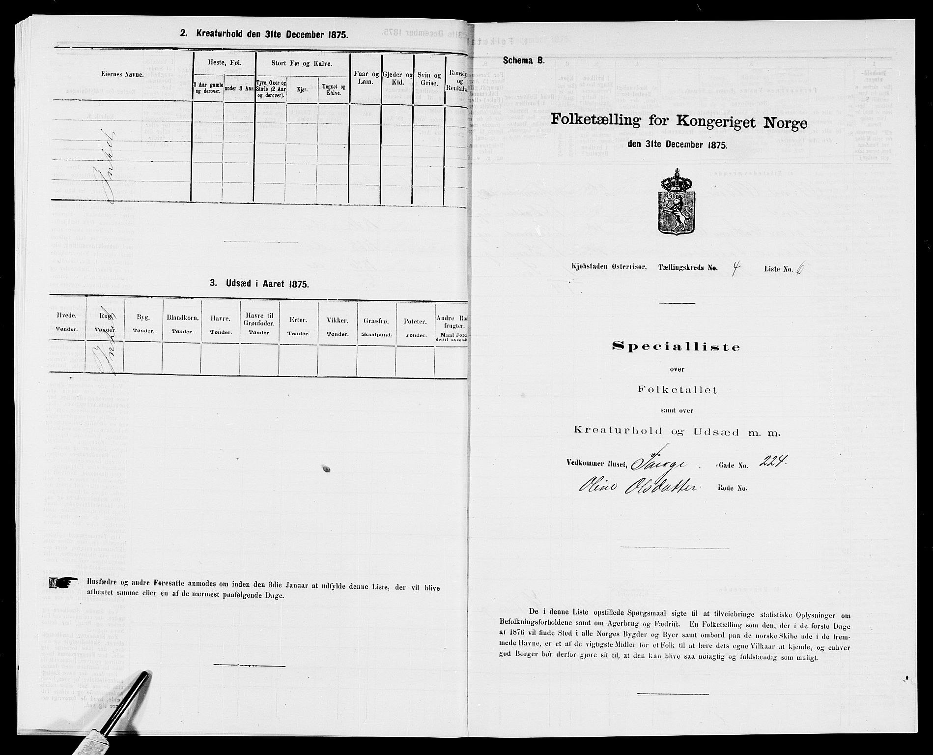 SAK, Folketelling 1875 for 0901B Risør prestegjeld, Risør kjøpstad, 1875, s. 525