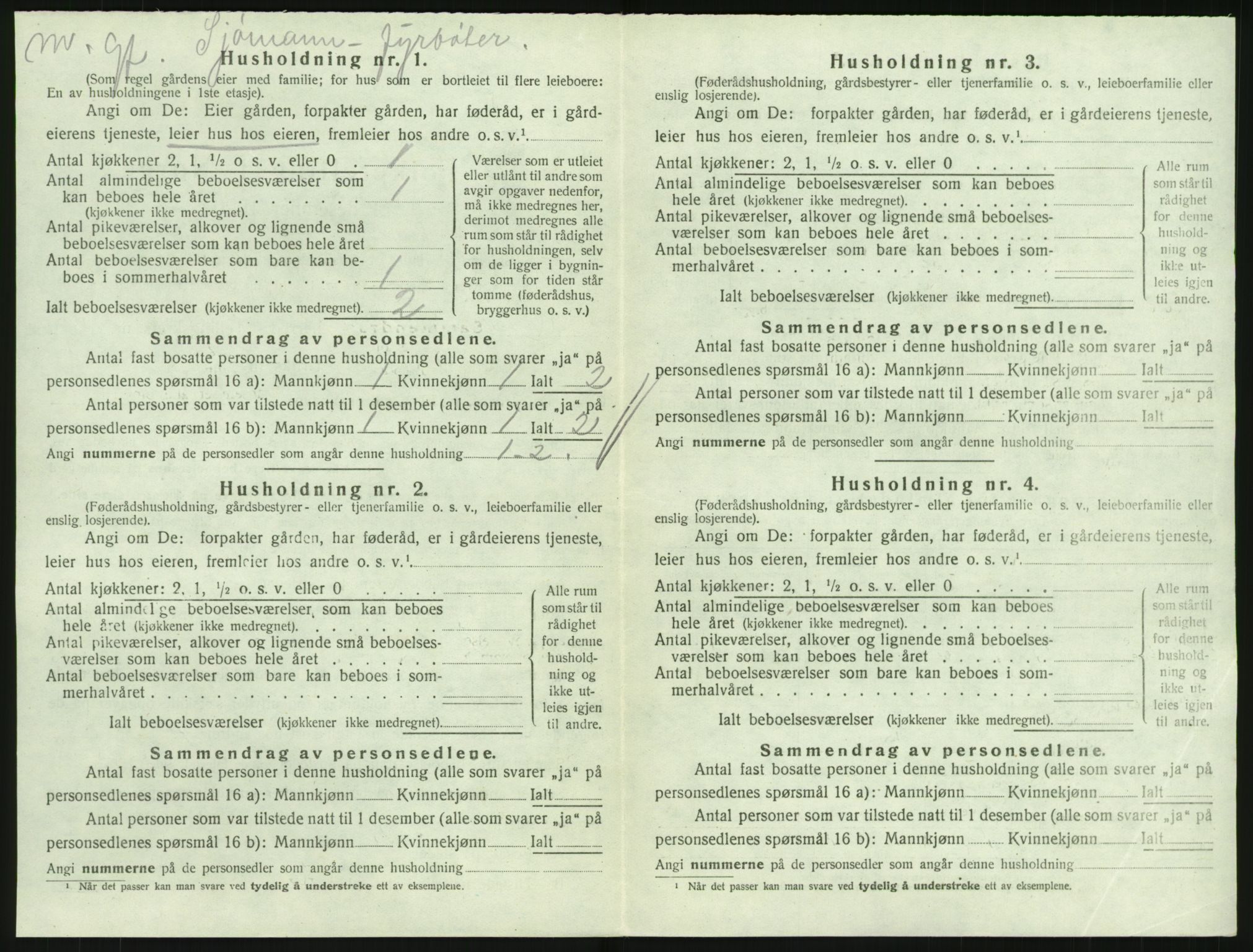 SAKO, Folketelling 1920 for 0727 Hedrum herred, 1920, s. 1154
