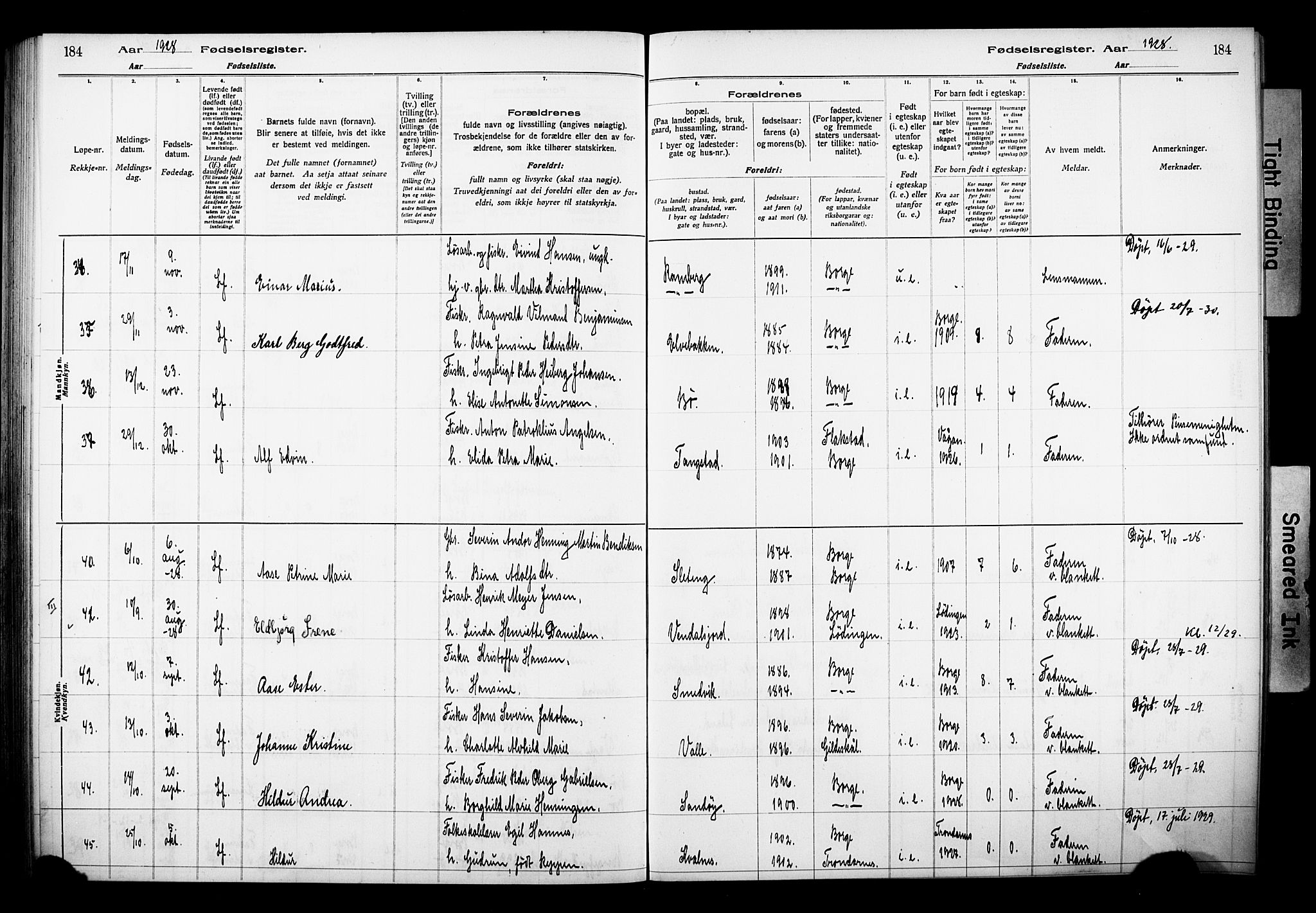 Ministerialprotokoller, klokkerbøker og fødselsregistre - Nordland, SAT/A-1459/880/L1145: Fødselsregister nr. 880.II.4.1, 1916-1929, s. 184