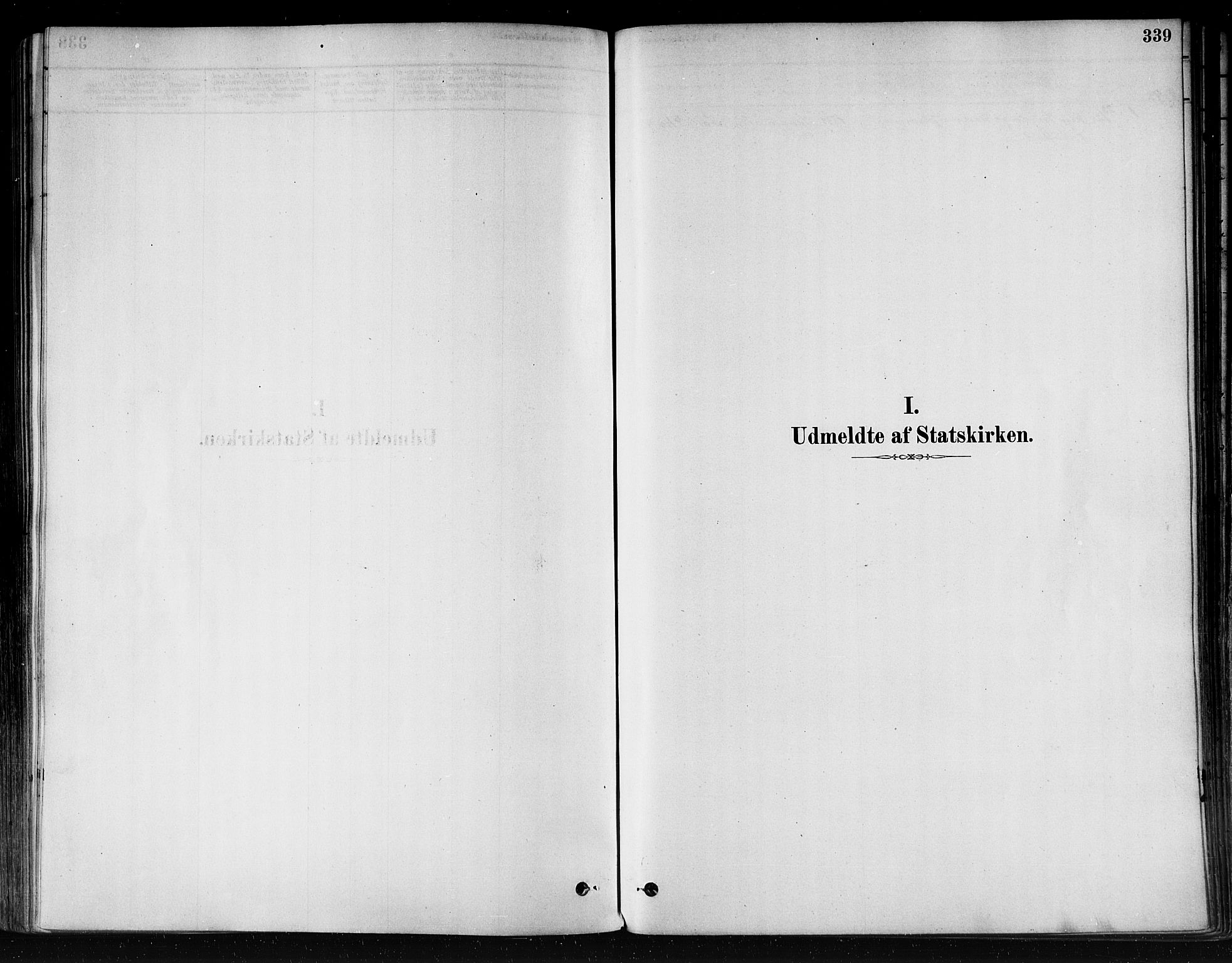 Ministerialprotokoller, klokkerbøker og fødselsregistre - Nord-Trøndelag, AV/SAT-A-1458/746/L0449: Ministerialbok nr. 746A07 /2, 1878-1899, s. 339