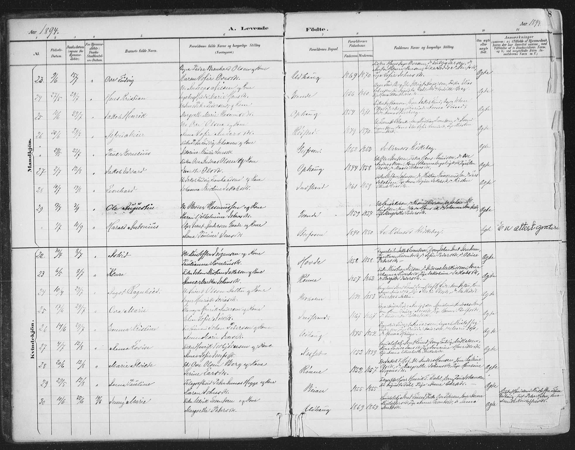 Ministerialprotokoller, klokkerbøker og fødselsregistre - Sør-Trøndelag, SAT/A-1456/659/L0743: Ministerialbok nr. 659A13, 1893-1910, s. 8