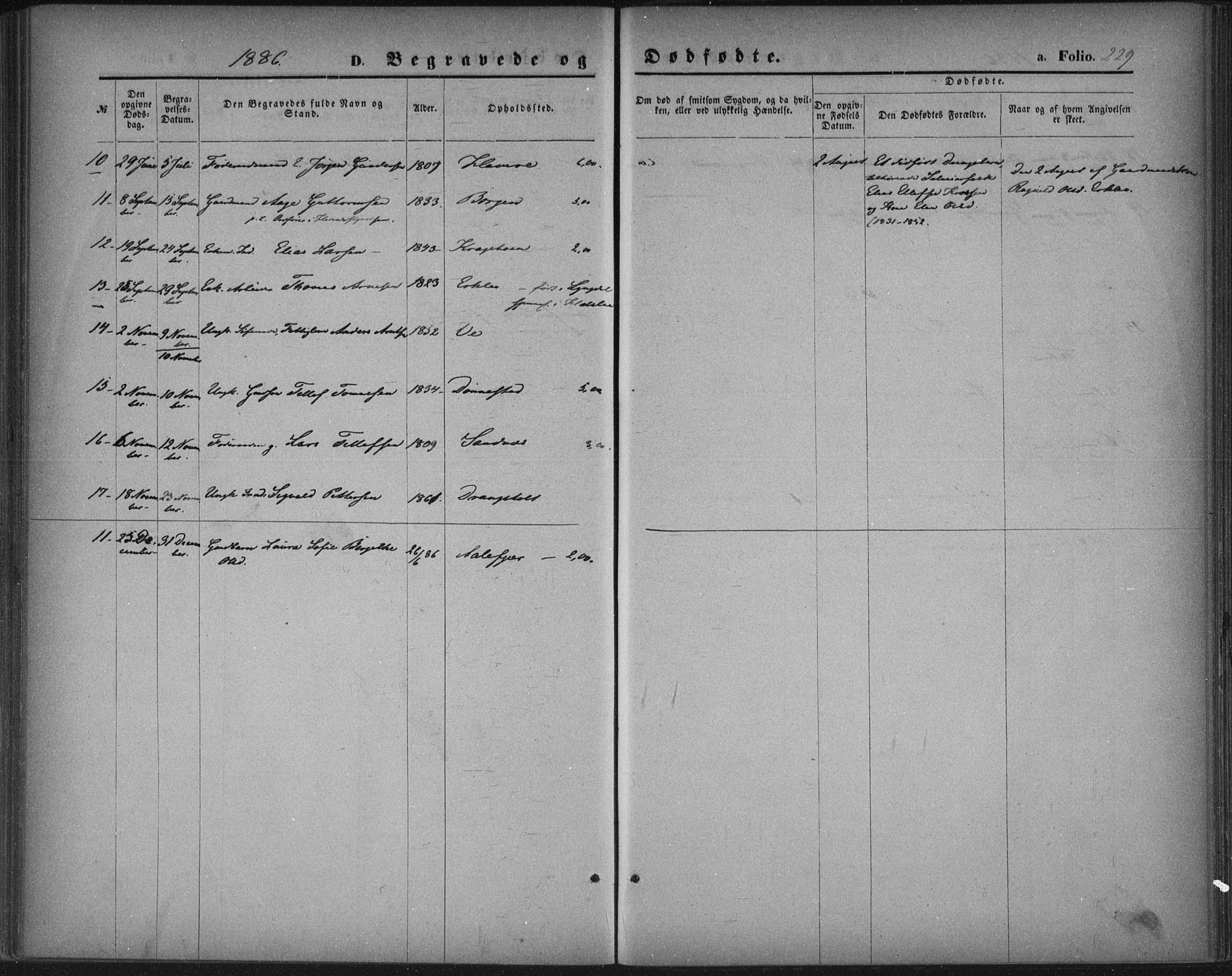 Tveit sokneprestkontor, AV/SAK-1111-0043/F/Fa/L0006: Ministerialbok nr. A 6, 1872-1886, s. 229