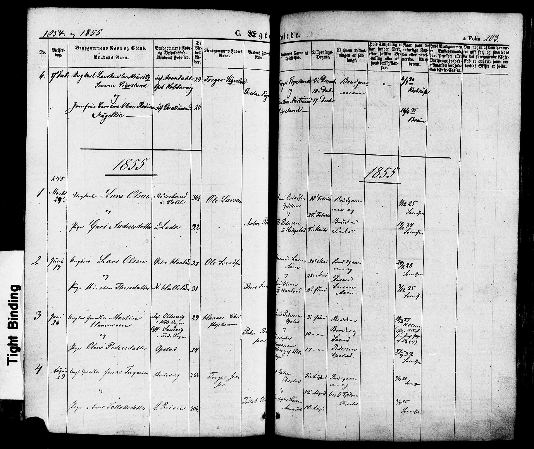 Hå sokneprestkontor, AV/SAST-A-101801/001/30BA/L0008: Ministerialbok nr. A 7, 1853-1878, s. 203