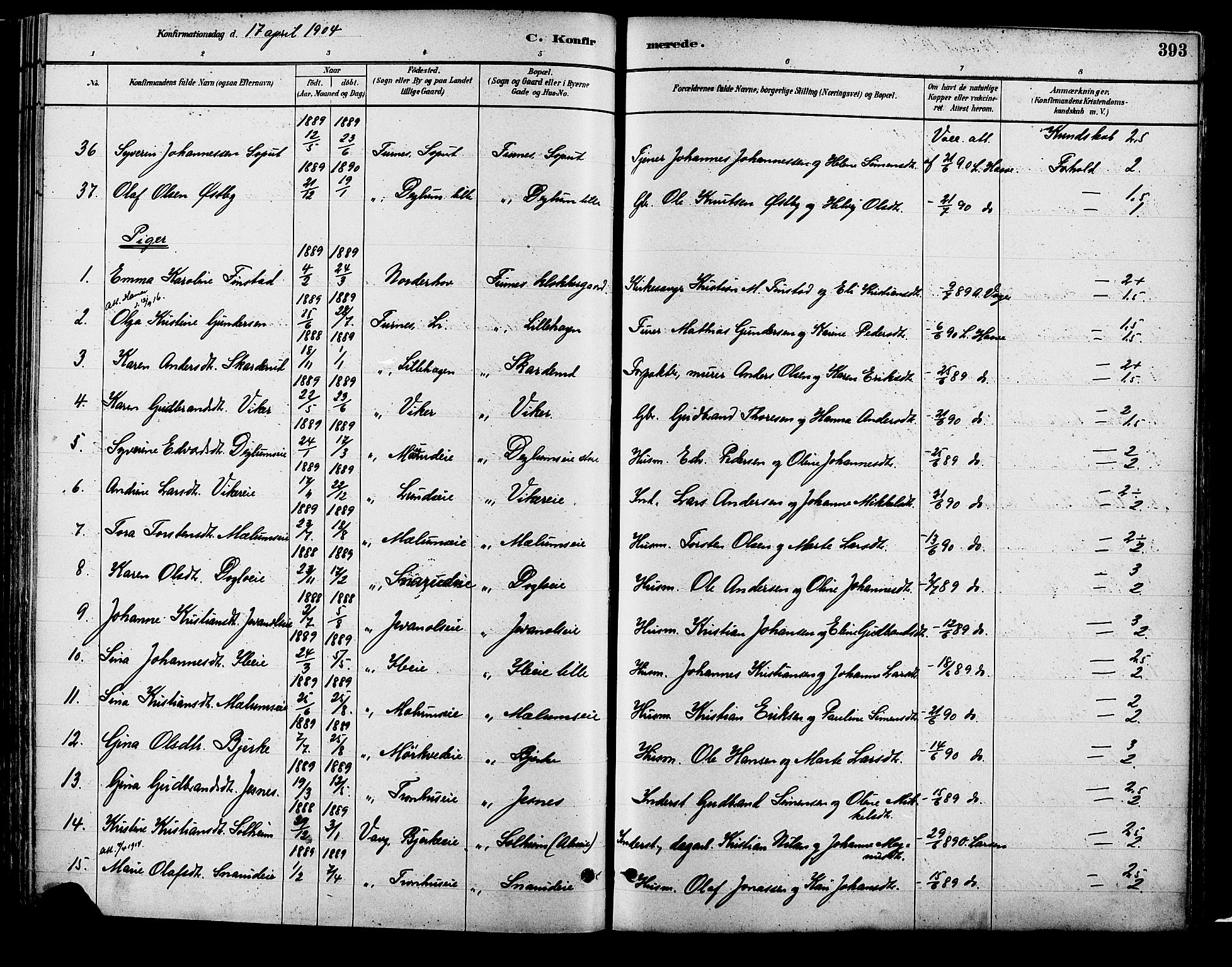 Vang prestekontor, Hedmark, AV/SAH-PREST-008/H/Ha/Haa/L0018B: Ministerialbok nr. 18B, 1880-1906, s. 393