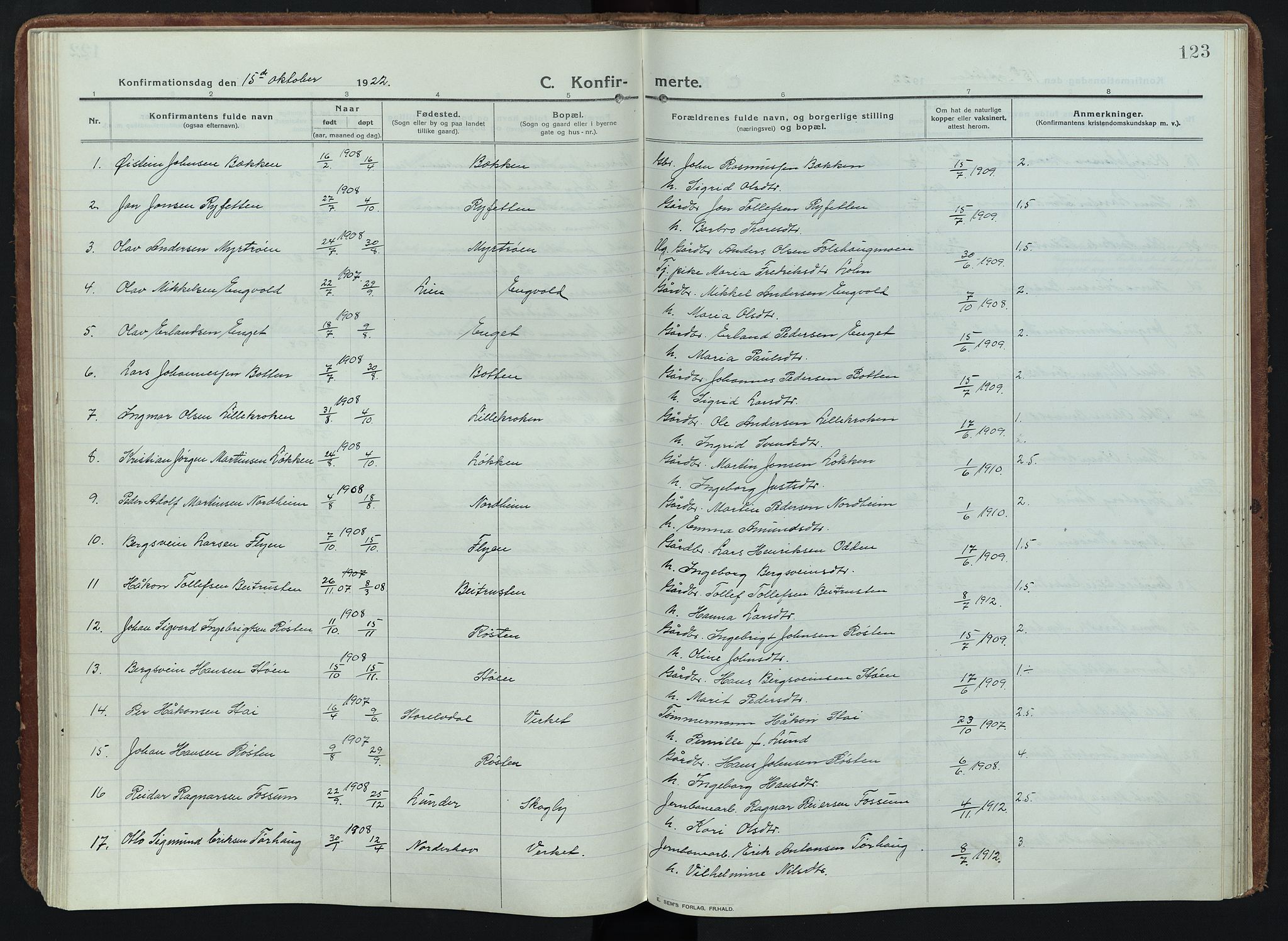 Alvdal prestekontor, AV/SAH-PREST-060/H/Ha/Haa/L0005: Ministerialbok nr. 5, 1913-1930, s. 123
