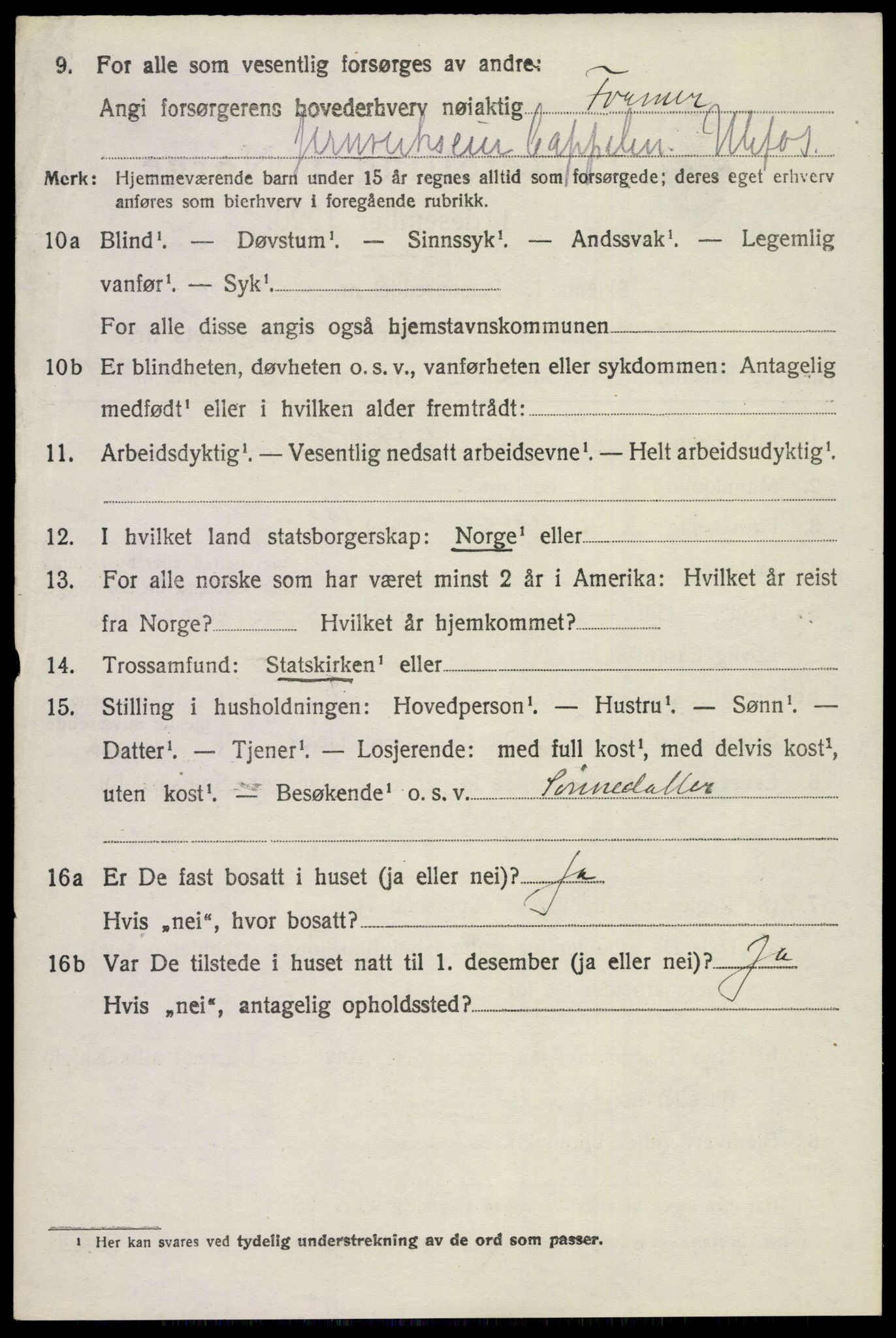 SAKO, Folketelling 1920 for 0819 Holla herred, 1920, s. 3246