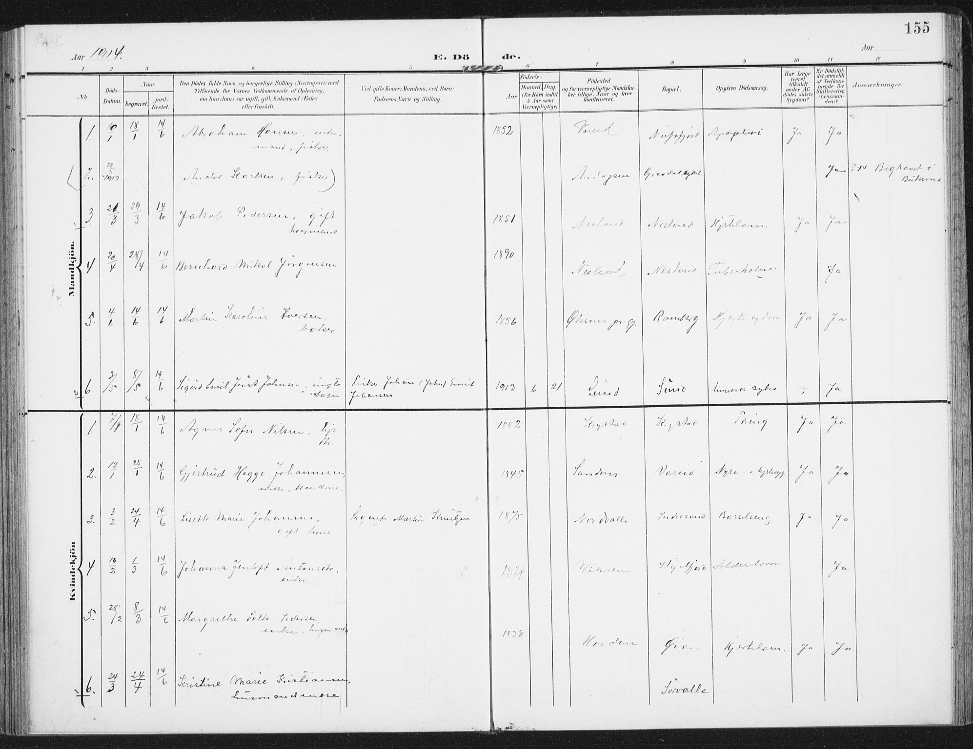 Ministerialprotokoller, klokkerbøker og fødselsregistre - Nordland, AV/SAT-A-1459/885/L1206: Ministerialbok nr. 885A07, 1905-1915, s. 155