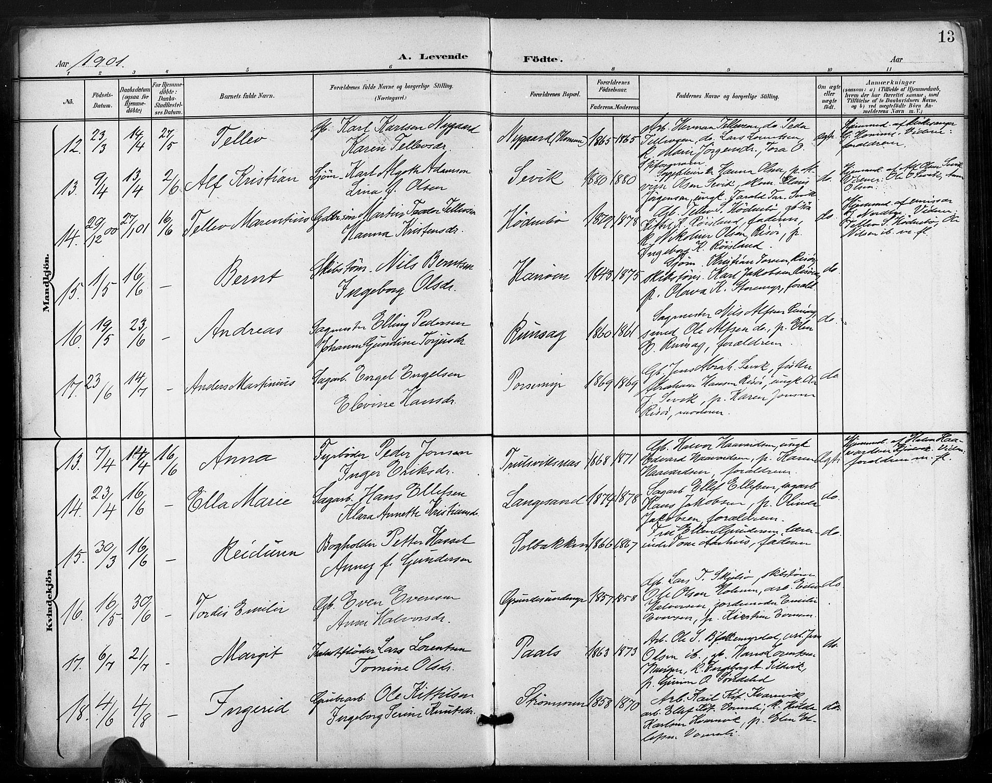 Søndeled sokneprestkontor, AV/SAK-1111-0038/F/Fa/L0006: Ministerialbok nr. A 6, 1900-1922, s. 13