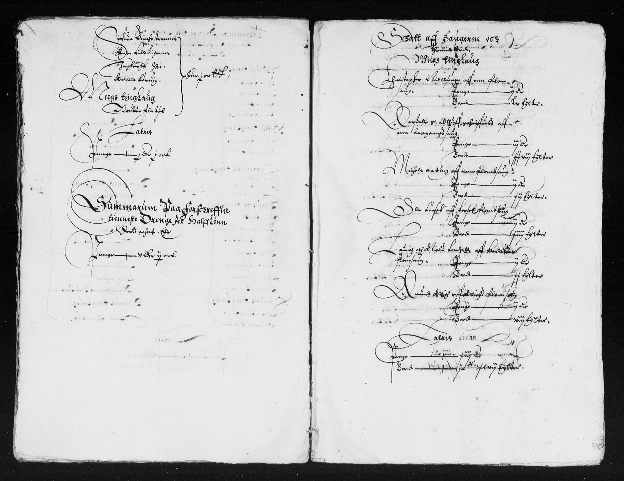 Rentekammeret inntil 1814, Reviderte regnskaper, Lensregnskaper, AV/RA-EA-5023/R/Rb/Rbw/L0057: Trondheim len, 1635-1636