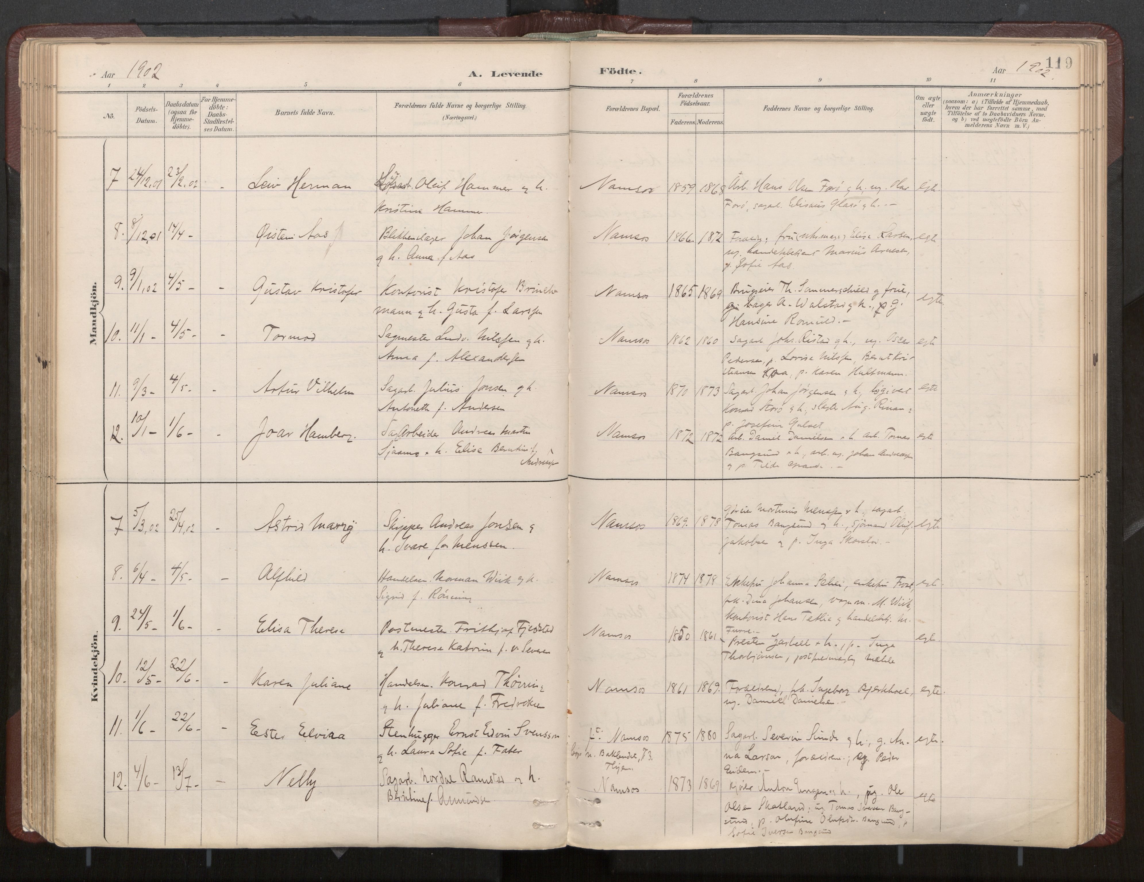 Ministerialprotokoller, klokkerbøker og fødselsregistre - Nord-Trøndelag, AV/SAT-A-1458/768/L0574: Ministerialbok nr. 768A08, 1887-1927, s. 119