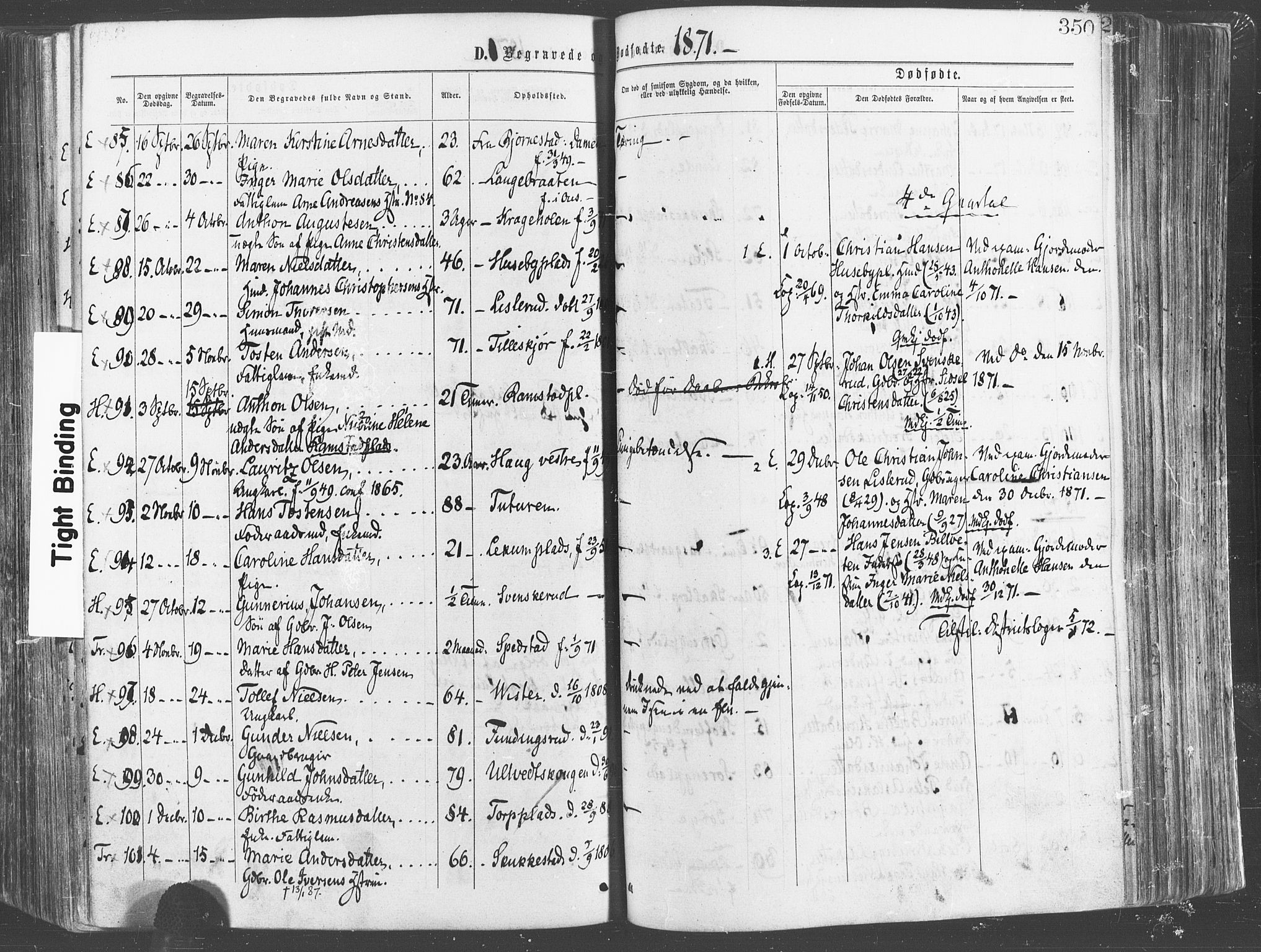 Eidsberg prestekontor Kirkebøker, AV/SAO-A-10905/F/Fa/L0011: Ministerialbok nr. I 11, 1867-1878, s. 350